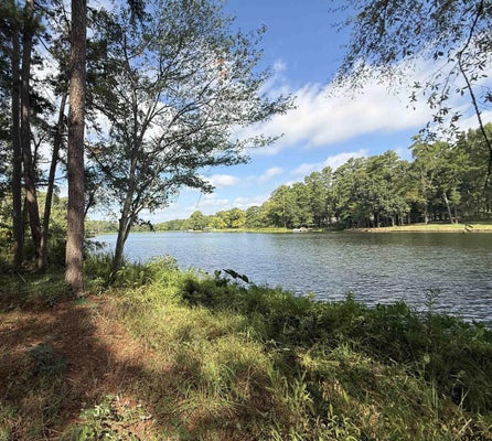 13254 COUNTY ROAD 468, TYLER, TX 75704 - Image 8317121b4eaffe1c61b8de6e0d56fb56/332503634