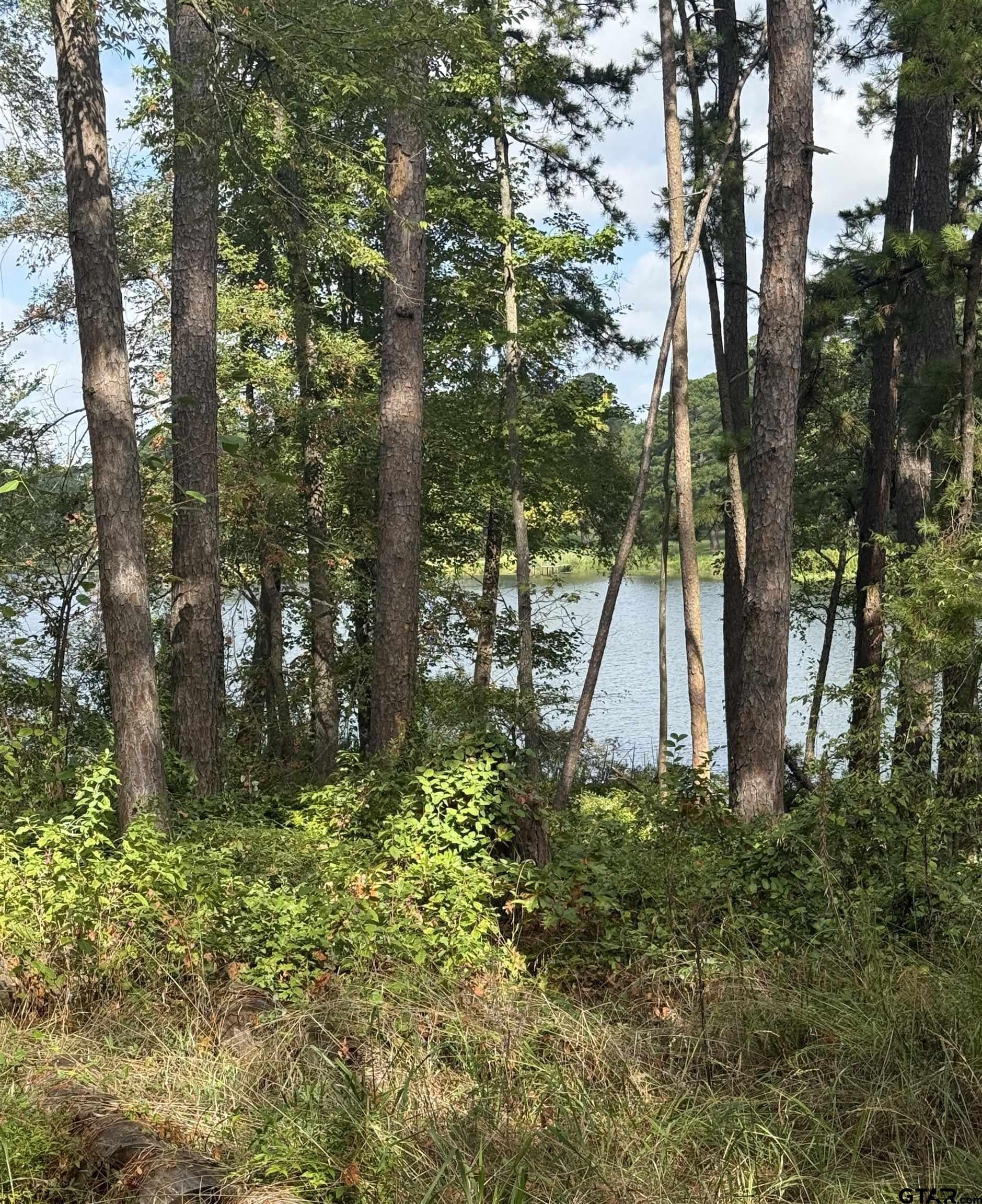 13254 County Road 468