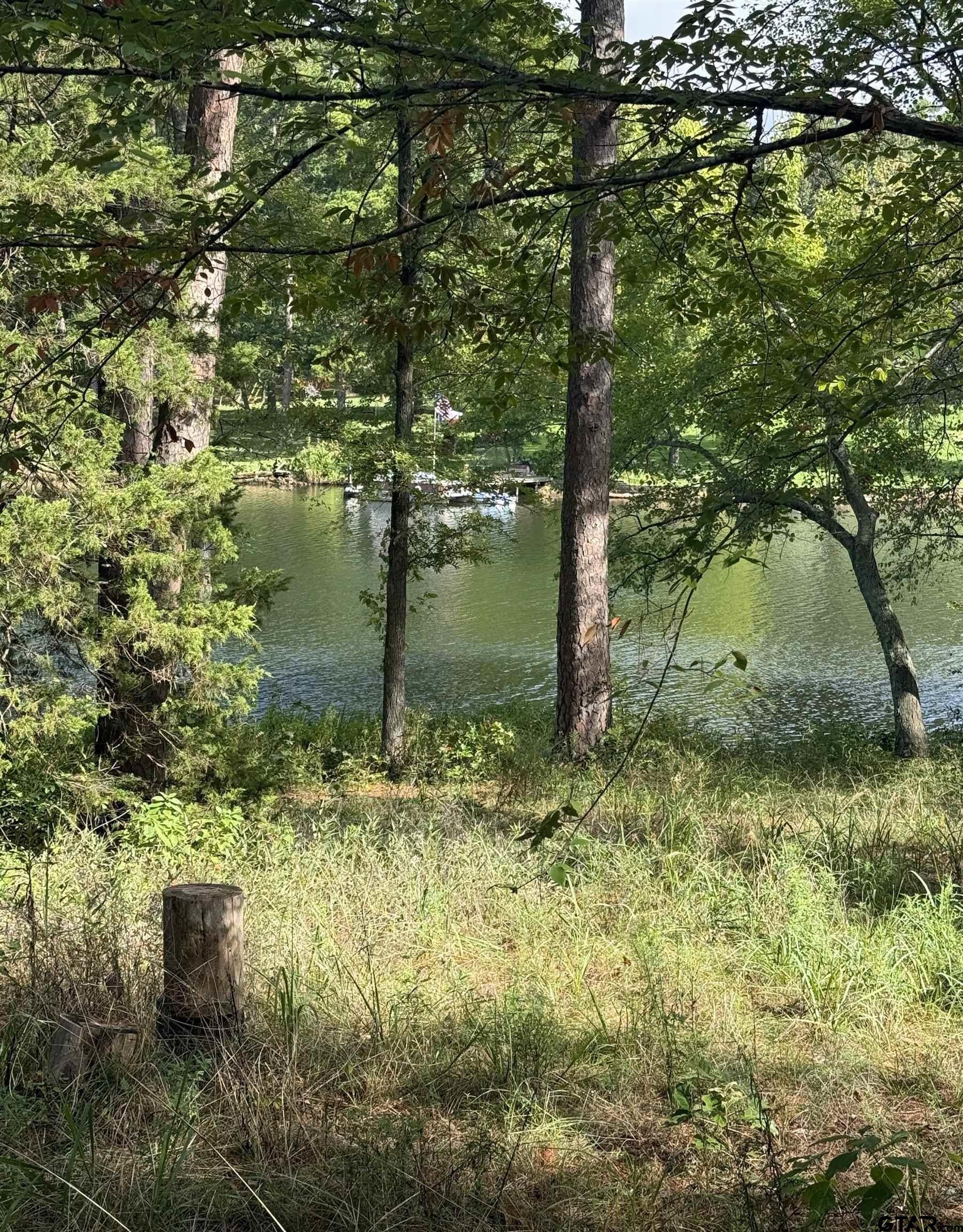 13254 County Road 468