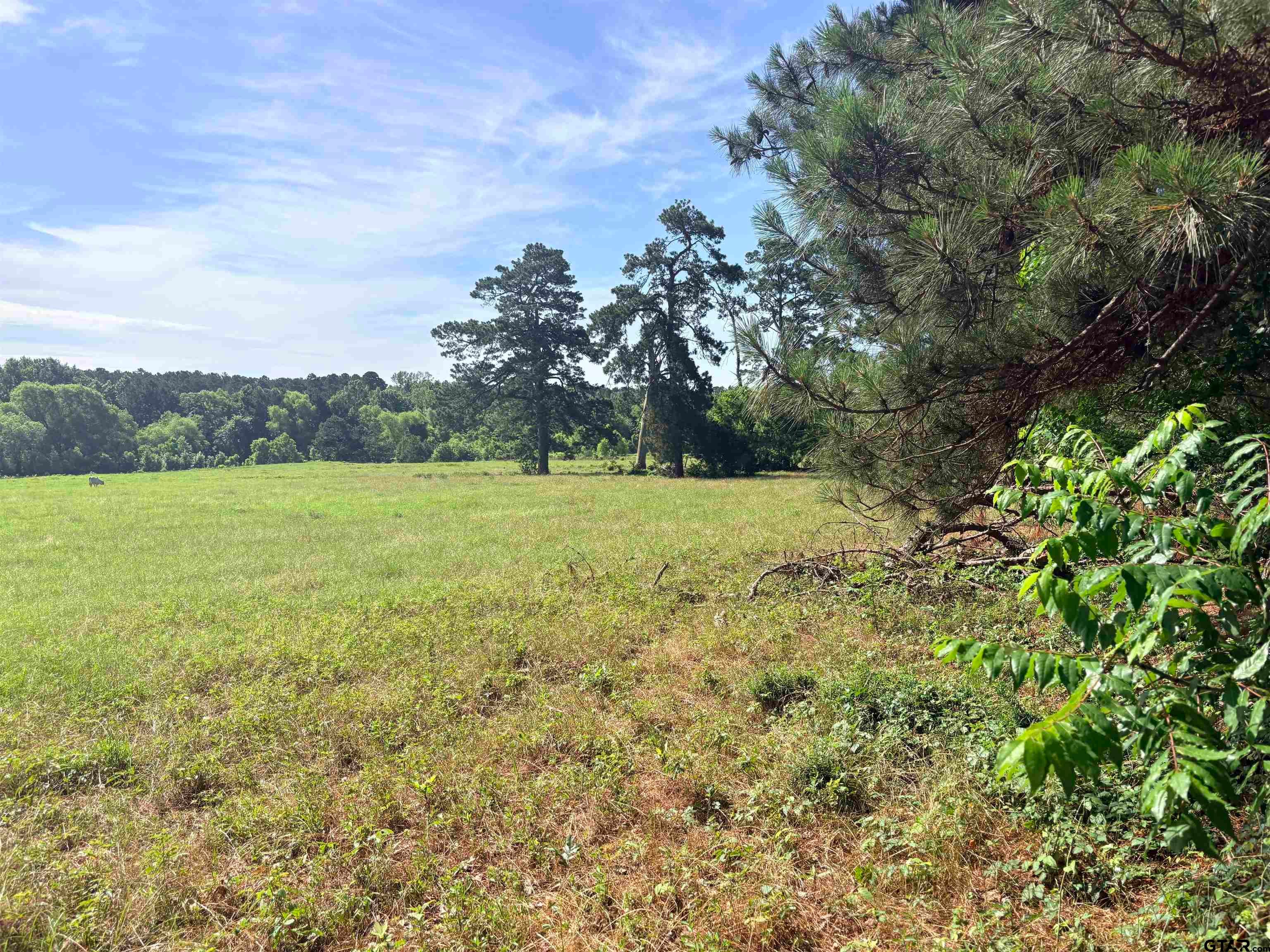 22173 HIGHWAY 135