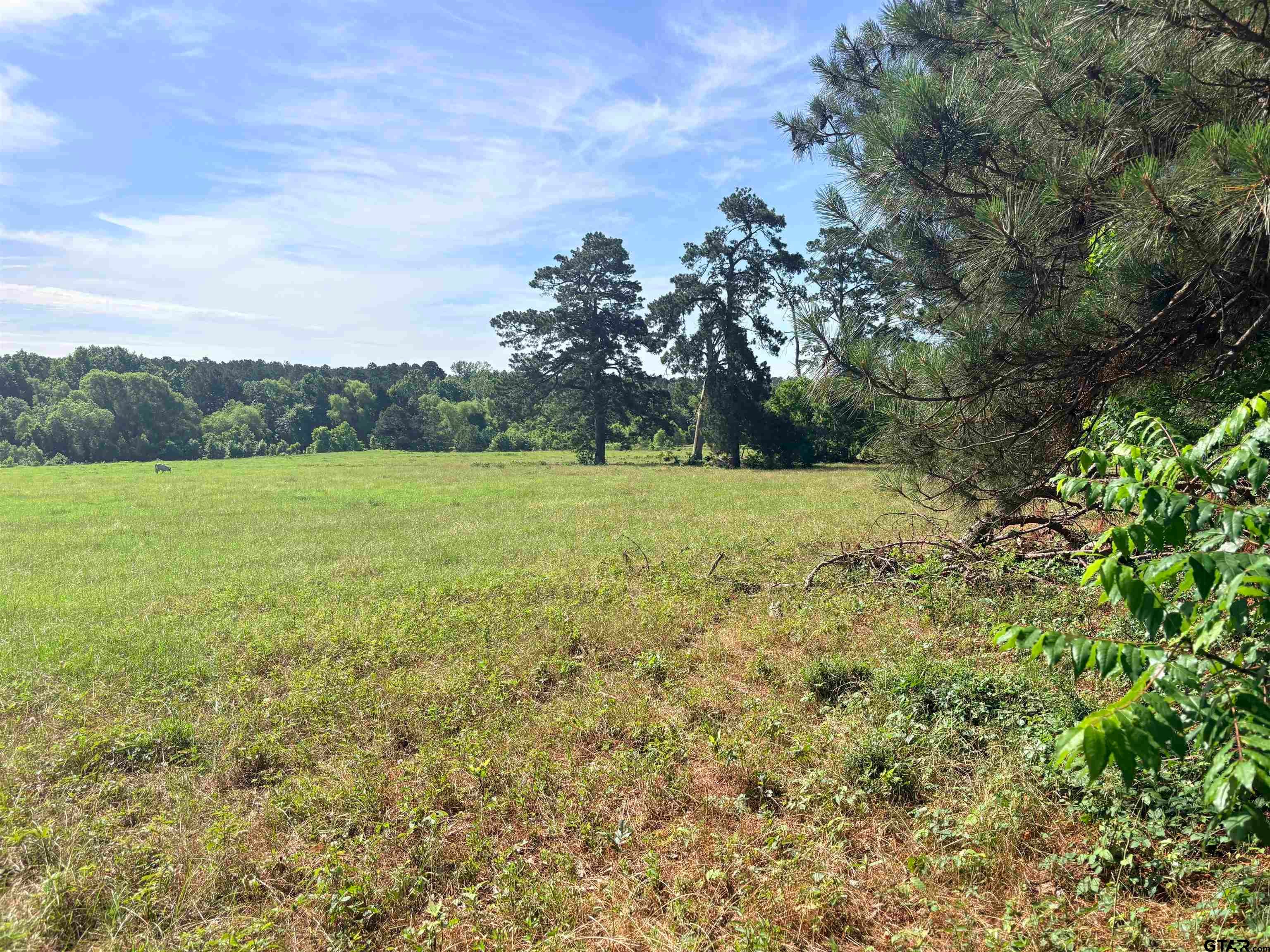 22173 HIGHWAY 135