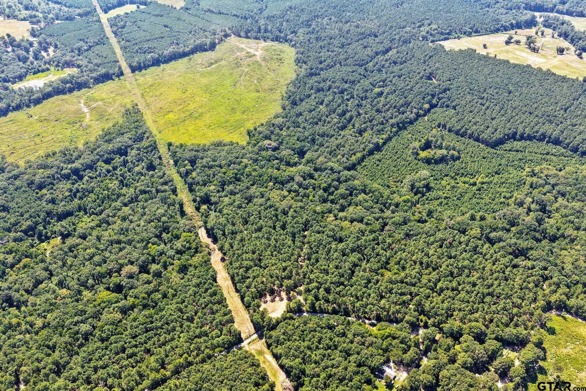 Lot 1 County Road 1240