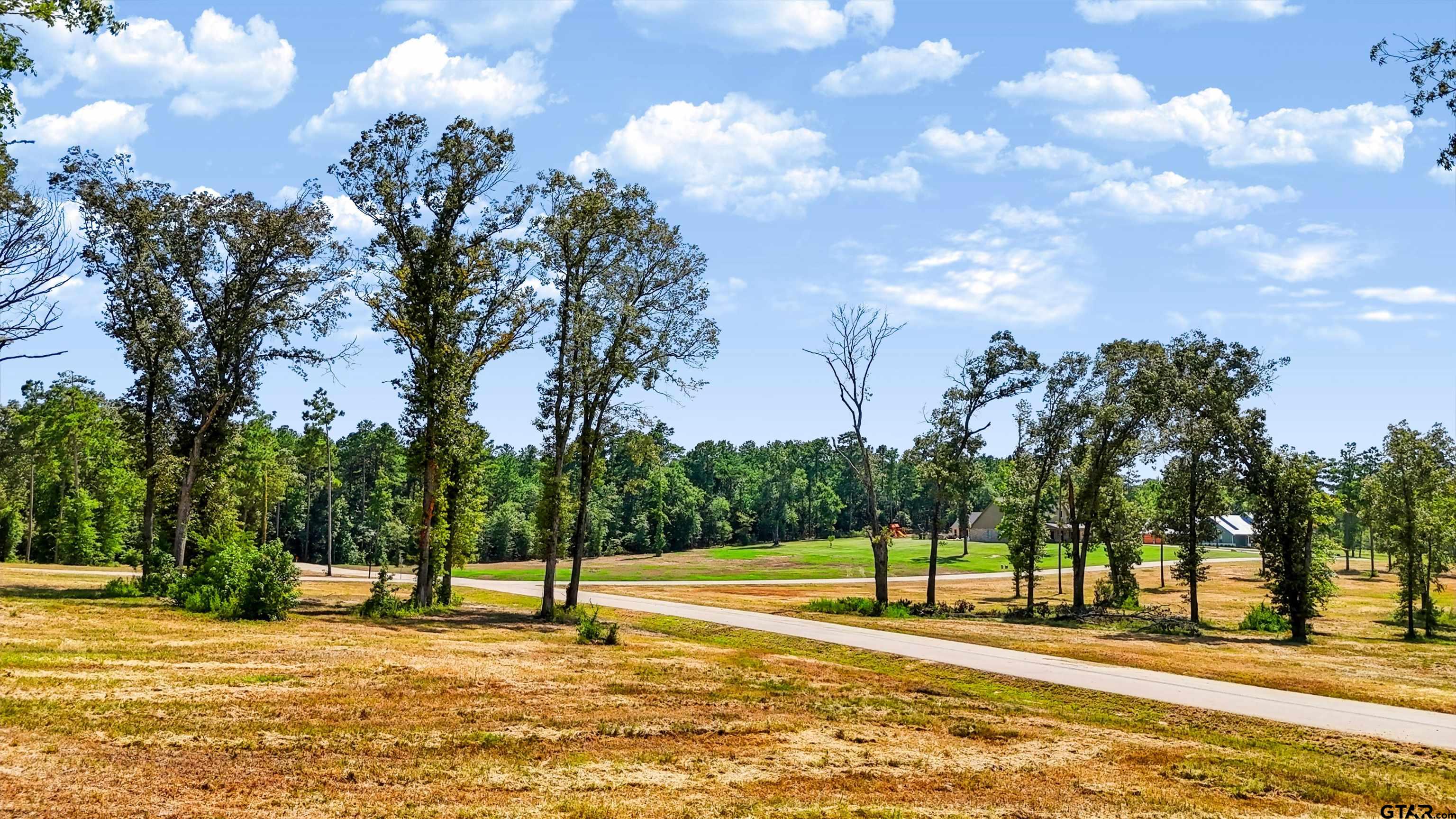 15868 Aniston Ln - (LOT 21)