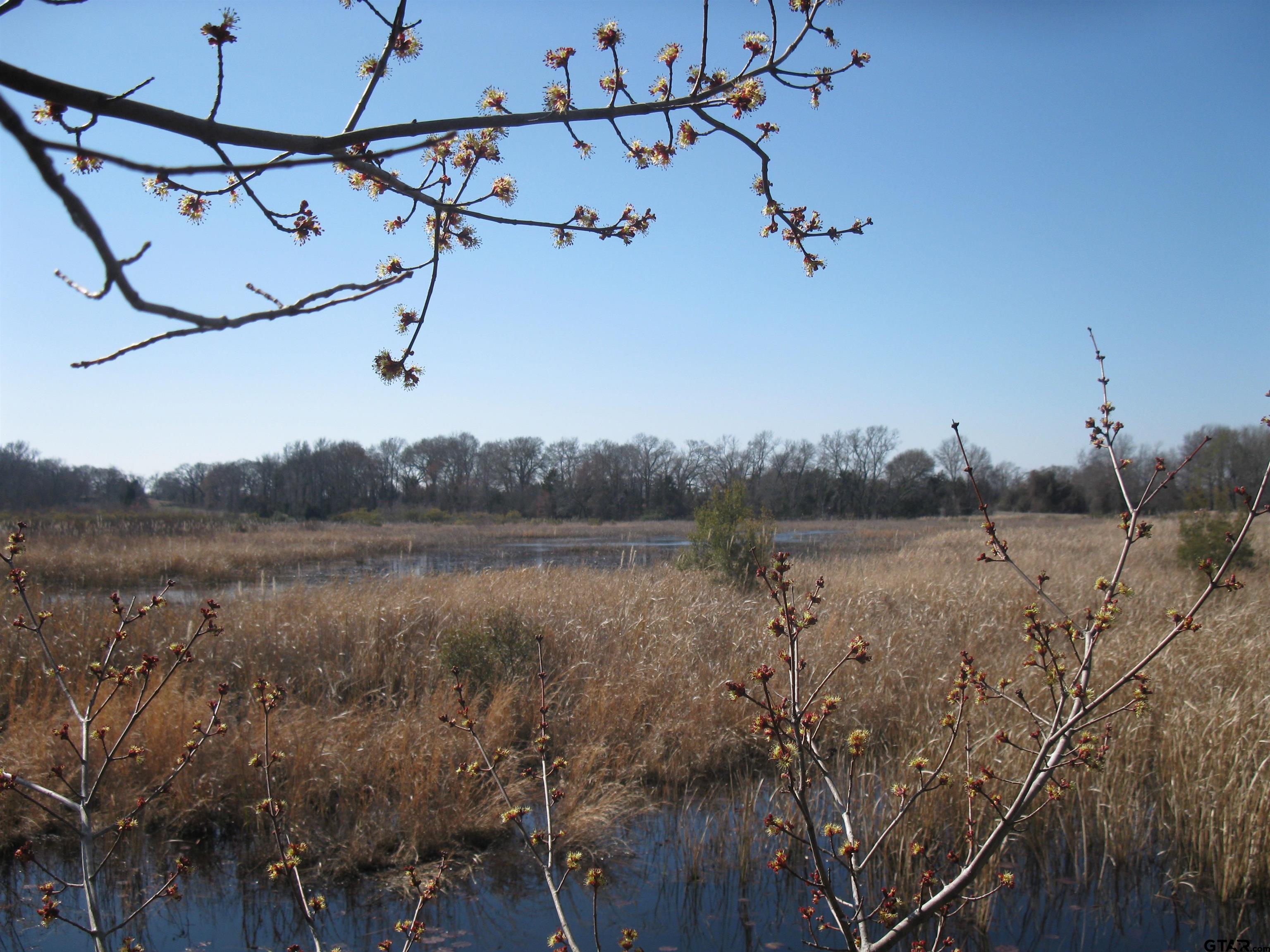 TBD 133+/- Acres County Road 4701