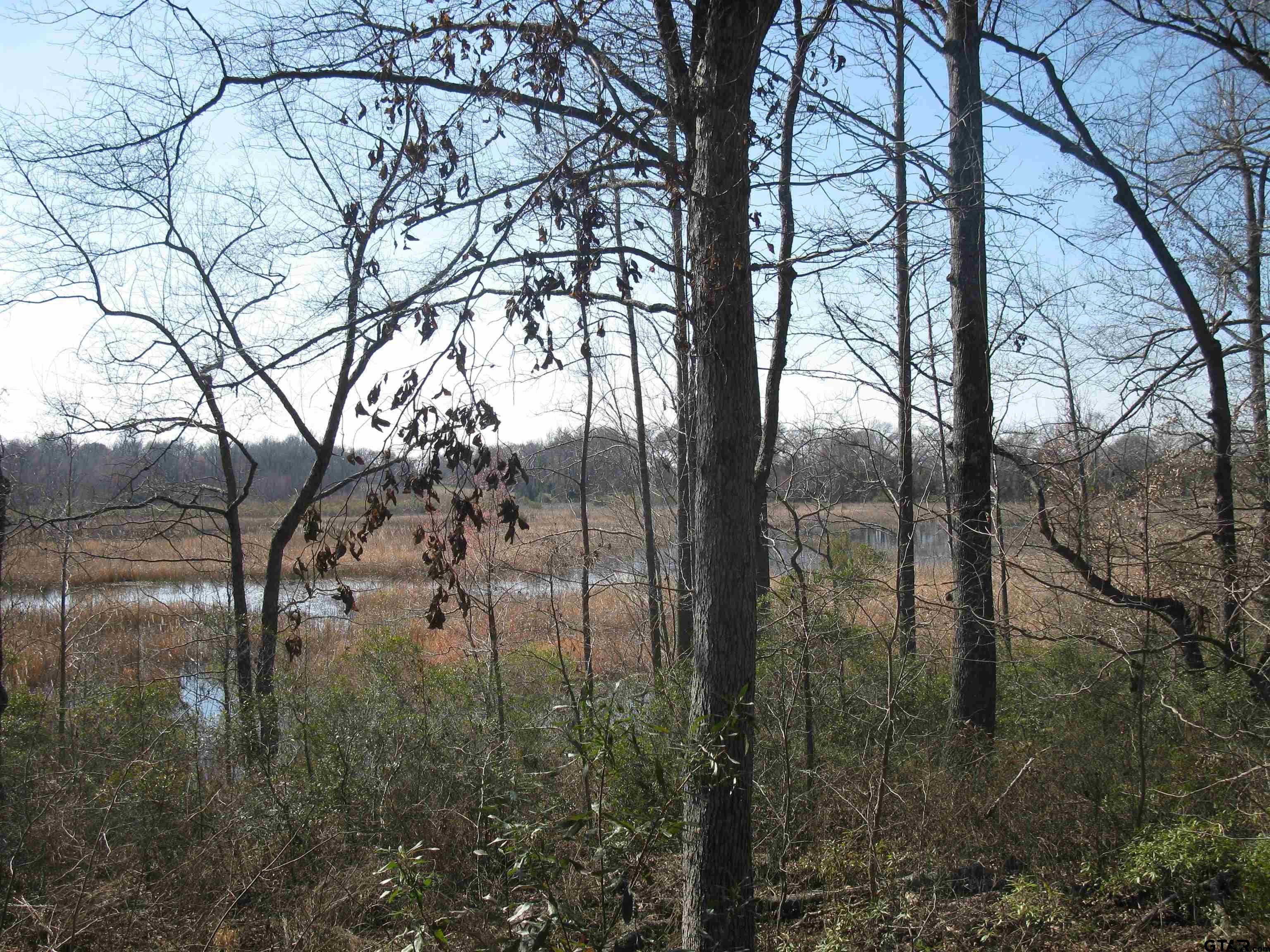TBD 133+/- Acres County Road 4701