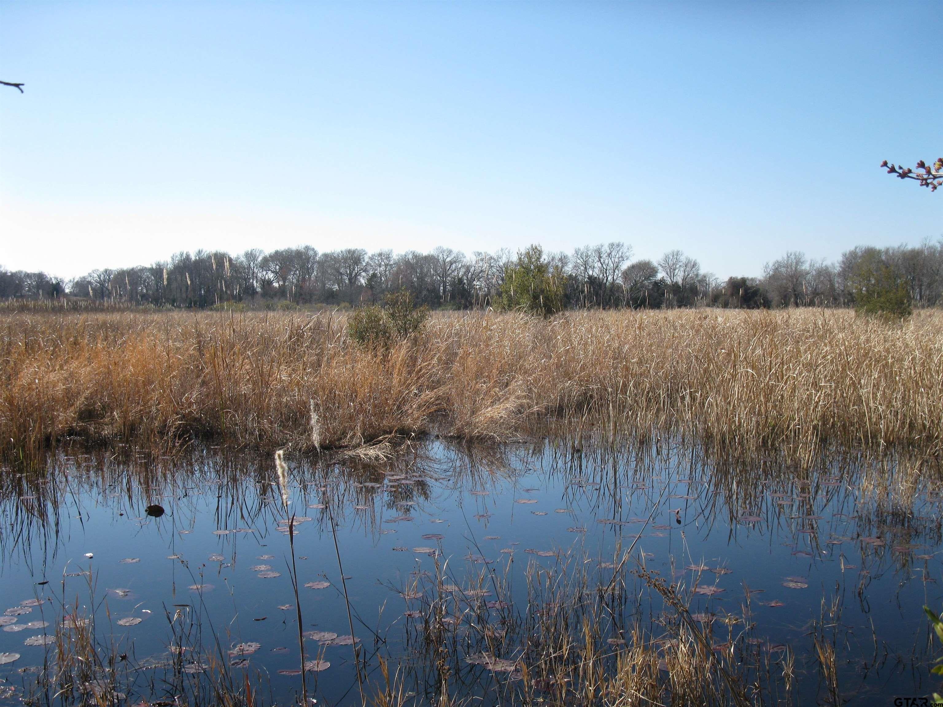 TBD 133+/- Acres County Road 4701