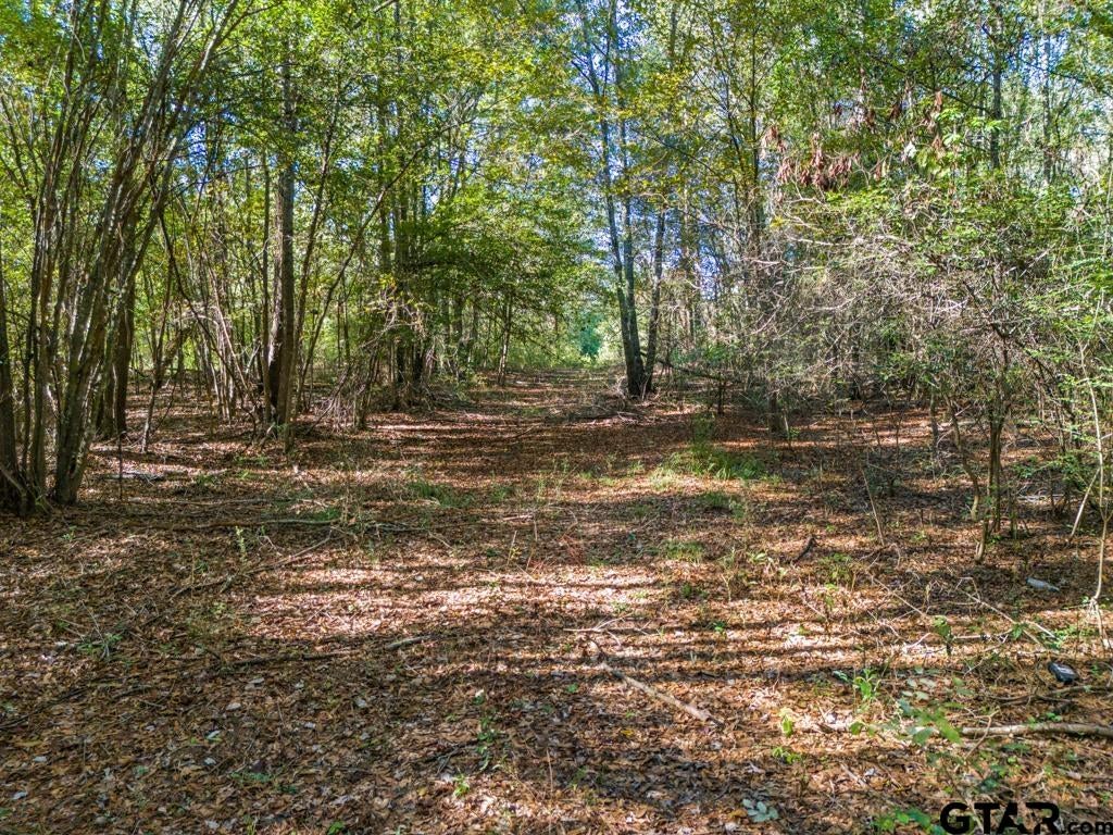 TBD FM 3324, 24 Acres