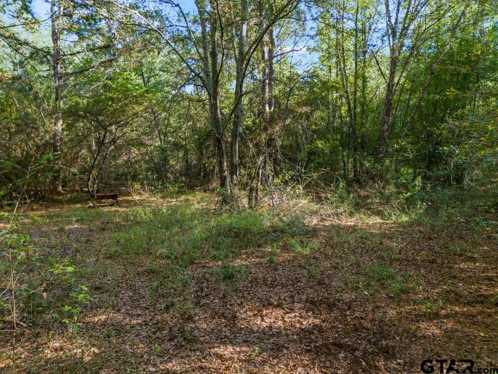 TBD FM 3324, 24 Acres