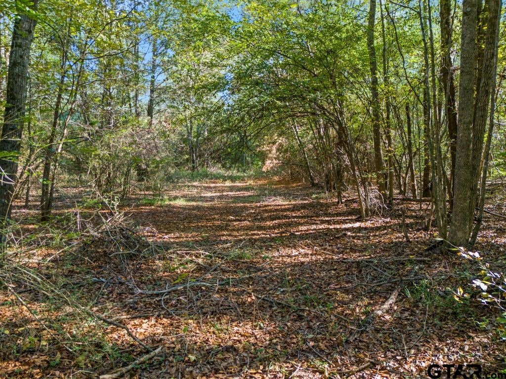 TBD FM 3324, 24 Acres