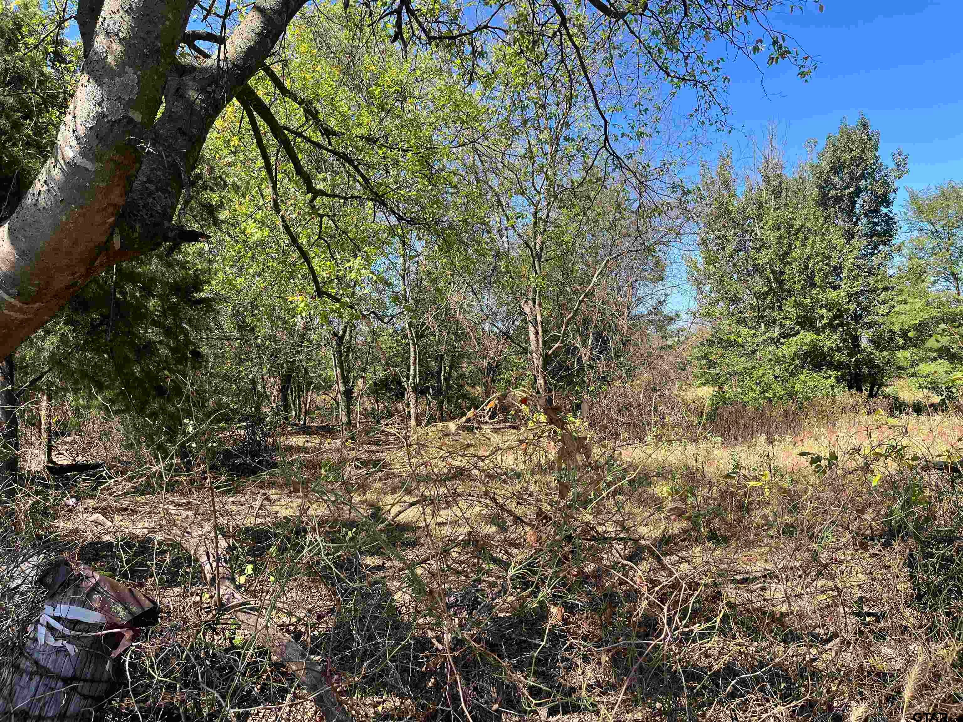TBD Tract 2 CR 4885
