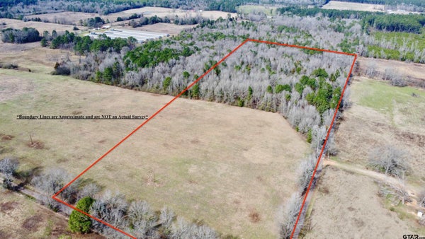 ADDRESS PRIVATE, LINDEN, TX 75563 - Image 91e26dc92a8ef0b7bd7a87eed0609bda/2788320913