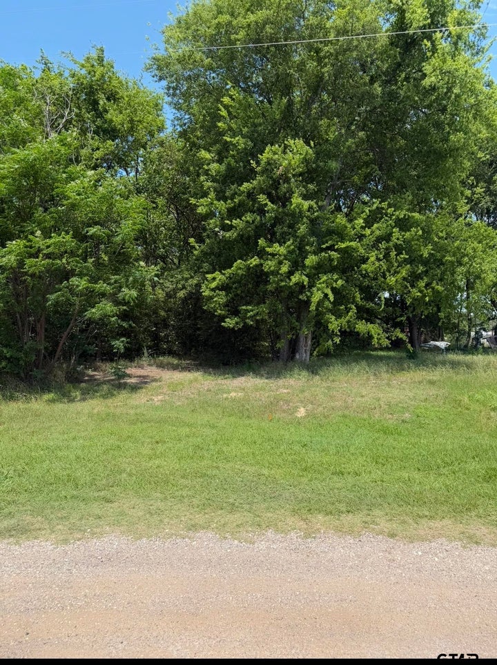 Photo 1 of 2 — 0000 Waterfront Row, Quitman, TX 75783
