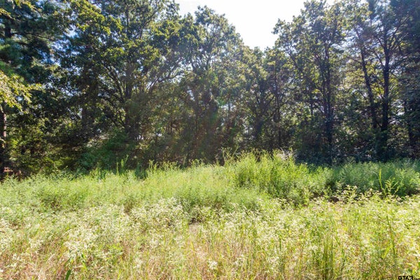 13234 MOUNTAINVIEW RD S, WINONA, TX 75792 - Image 9256f5feeab9a4fdd46df331bece7ea1/948985355