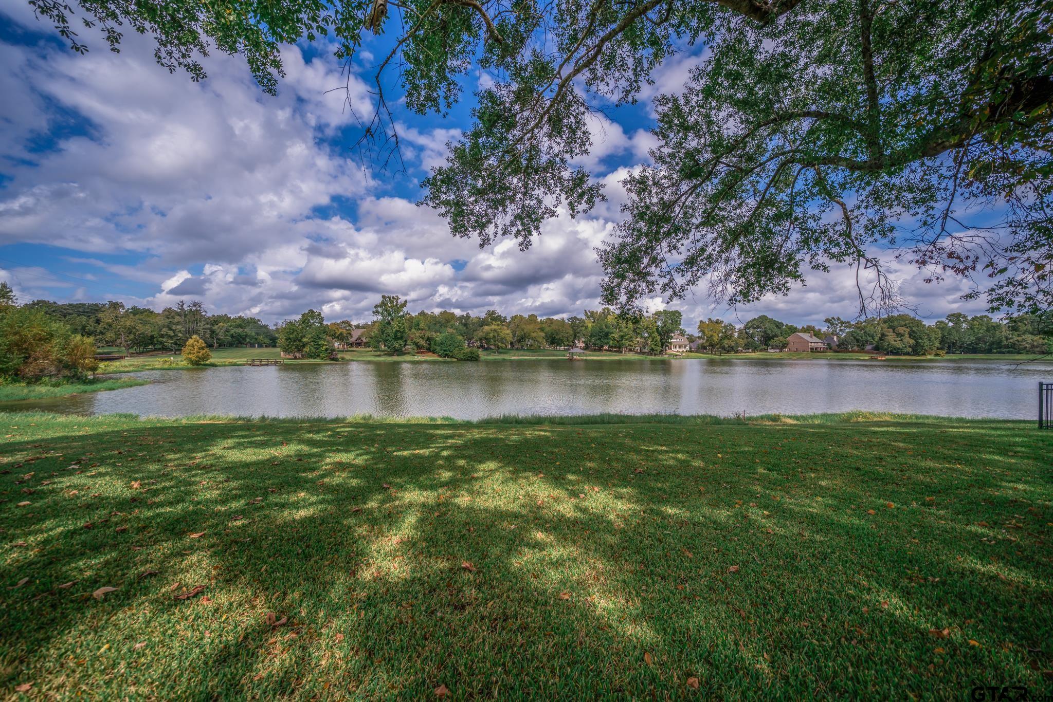119 Lake Lou Ella Drive