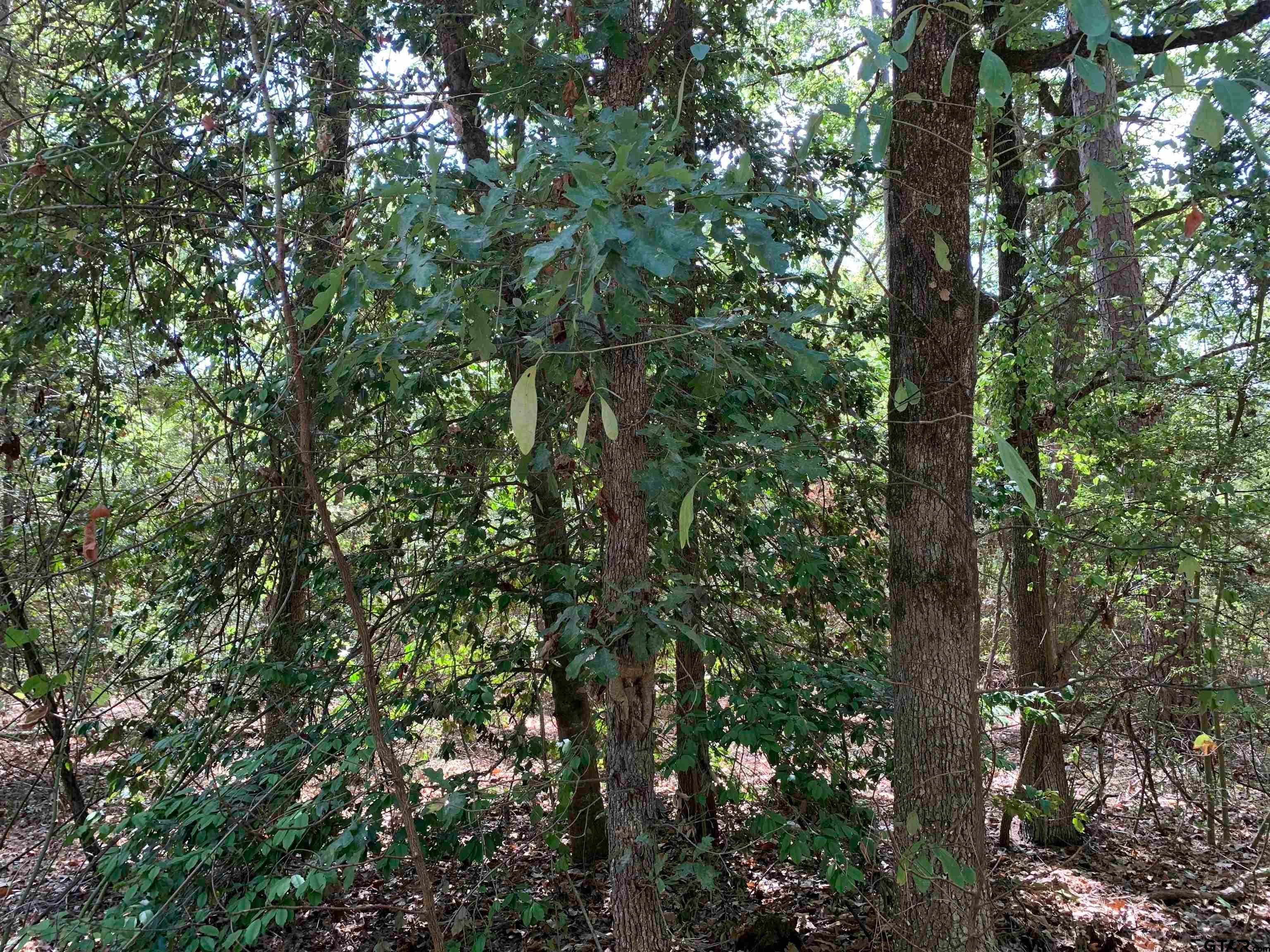 115 Private Road 7533