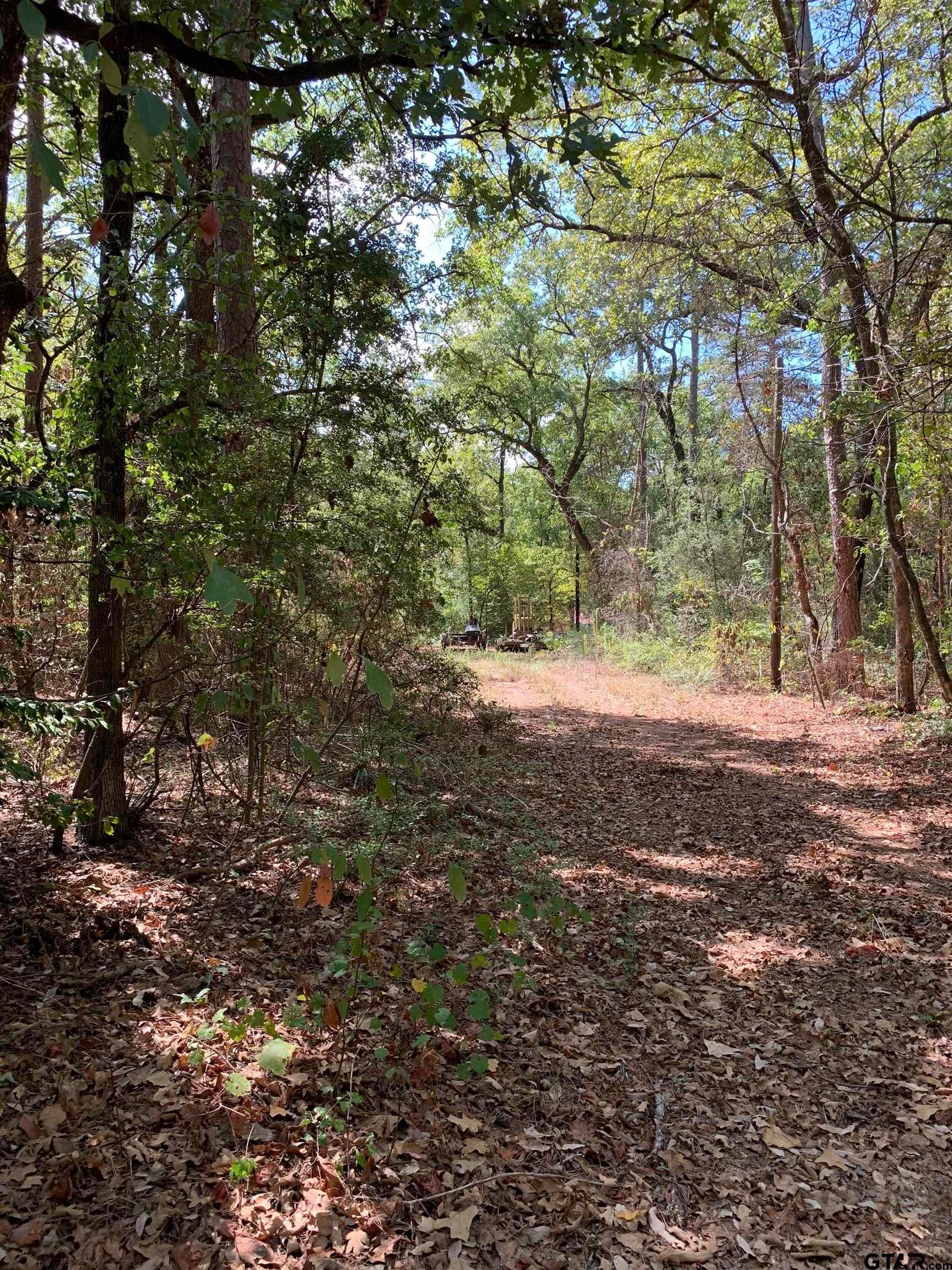 115 Private Road 7533