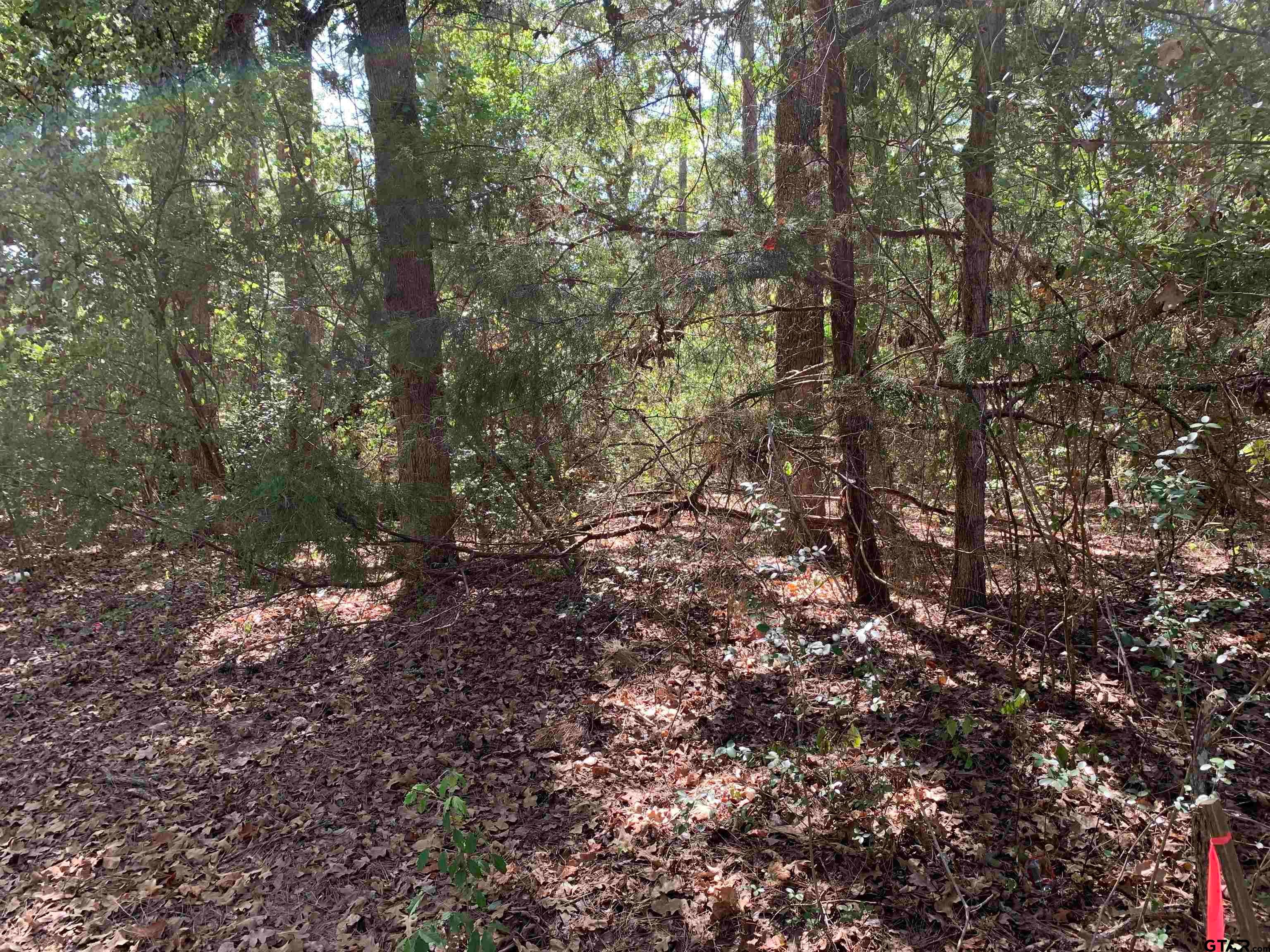 115 Private Road 7533