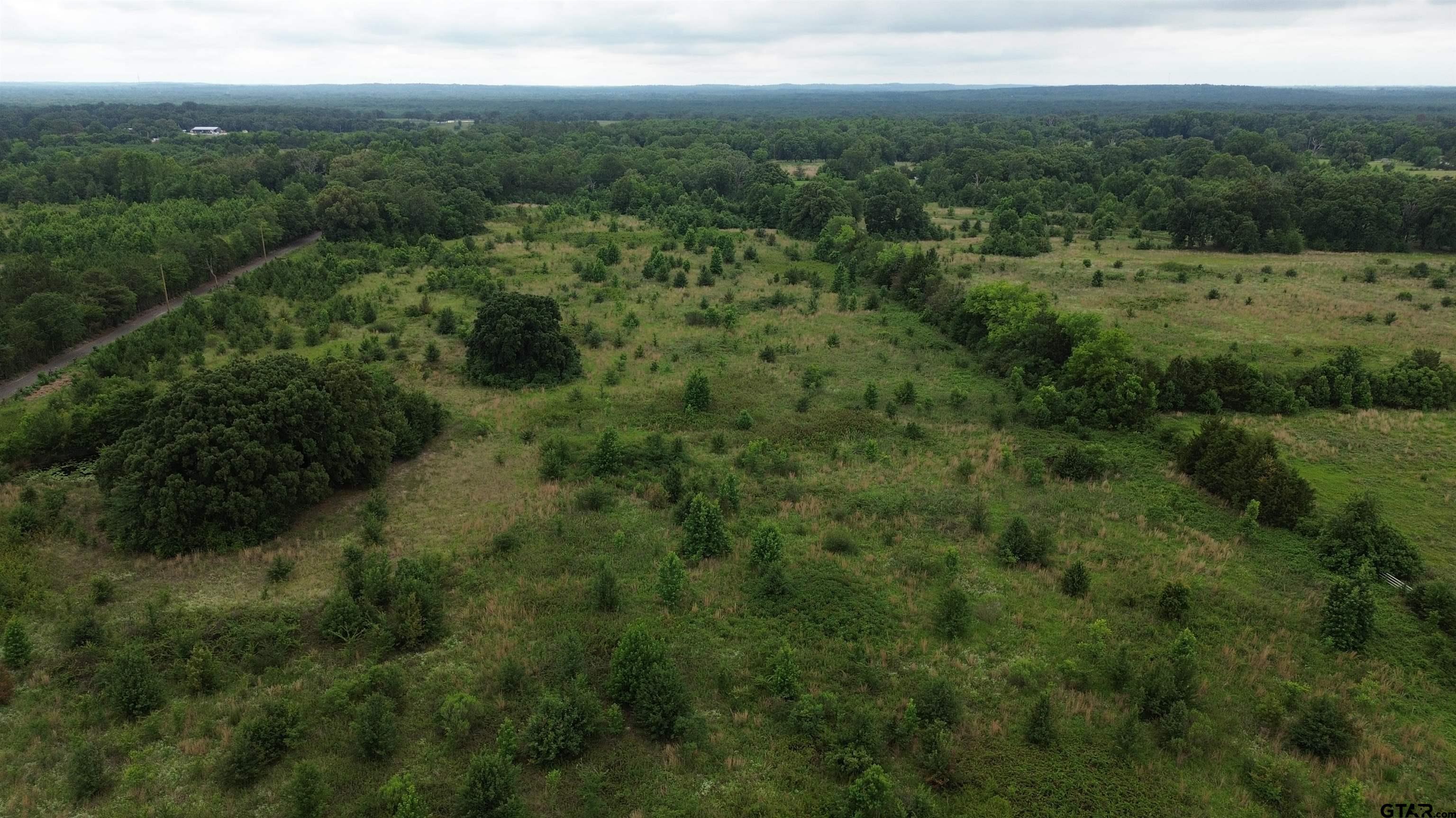 TBD CR 2805 (Holland Road)