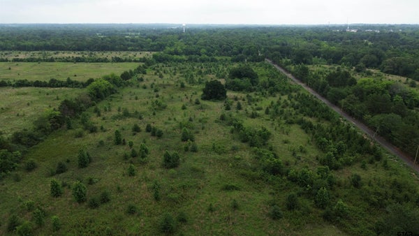 HOLLAND RD, MINEOLA, TX 75773 - Image 94e17546199cc2c9f92ca4445eed4eec/76471188