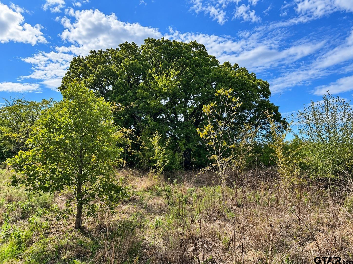 TBD CR 2805 (Holland Road)