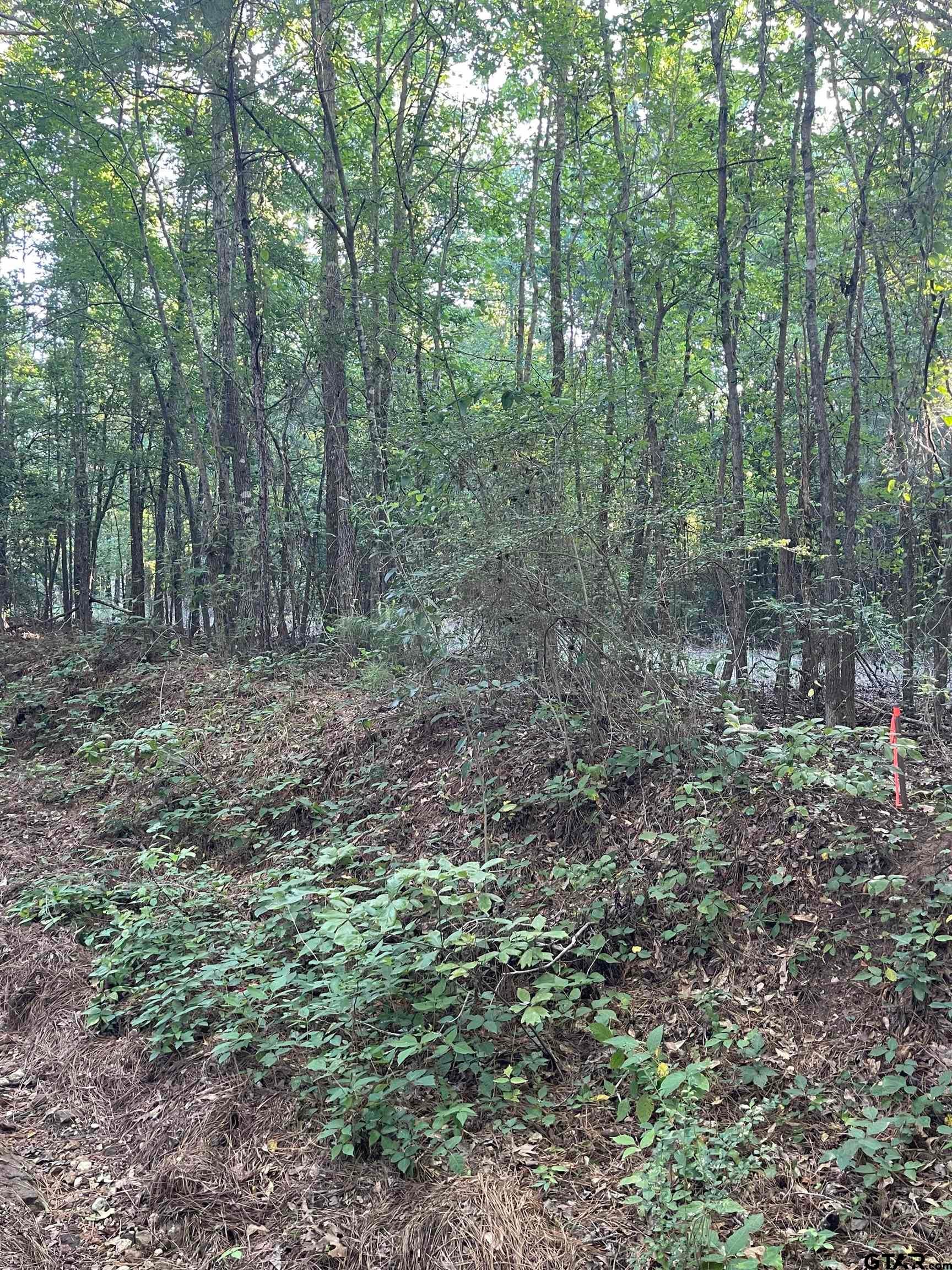 TBD County Road 2151 (Tract 5)