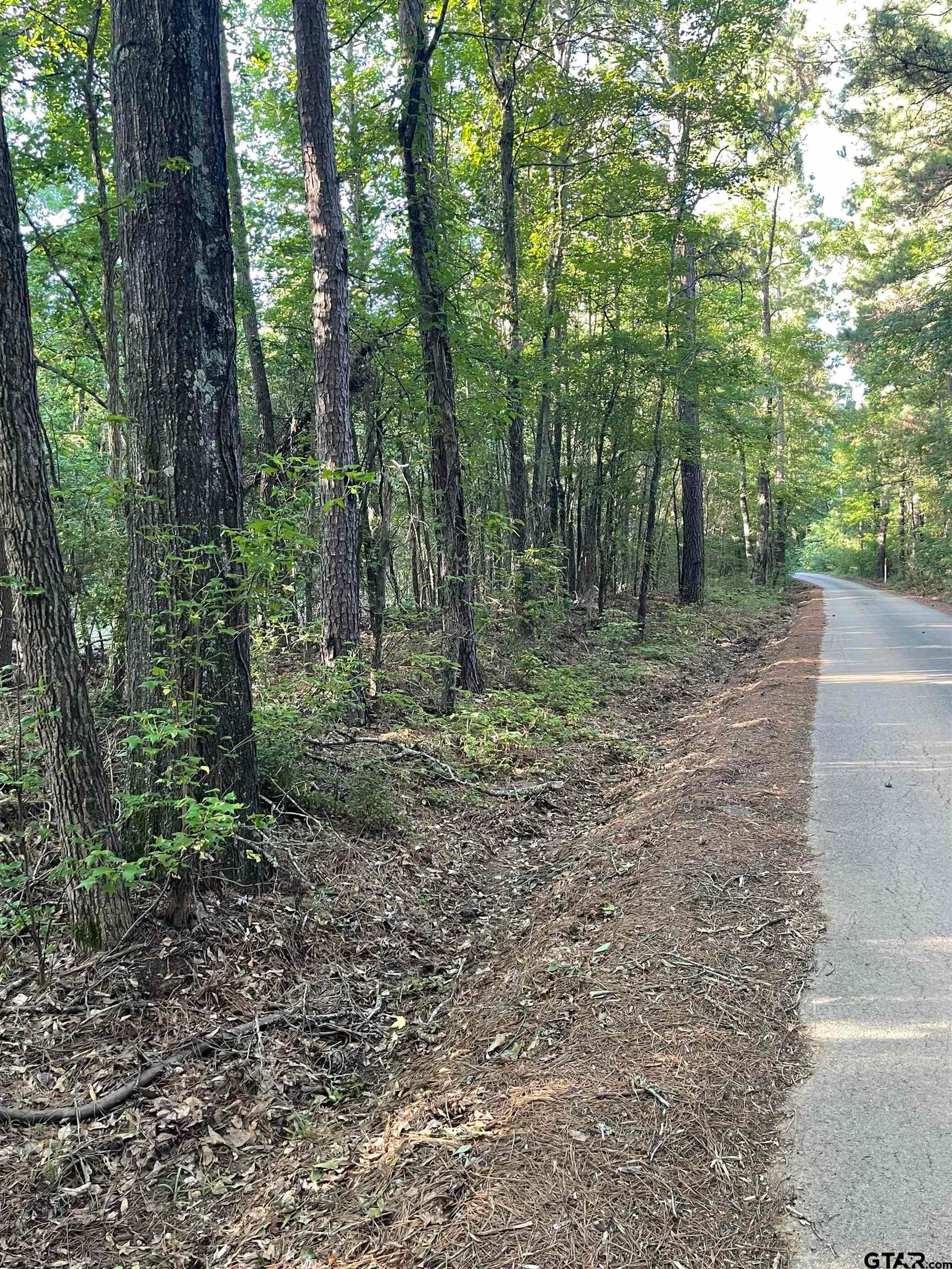 TBD County Road 2151 (Tract 5)