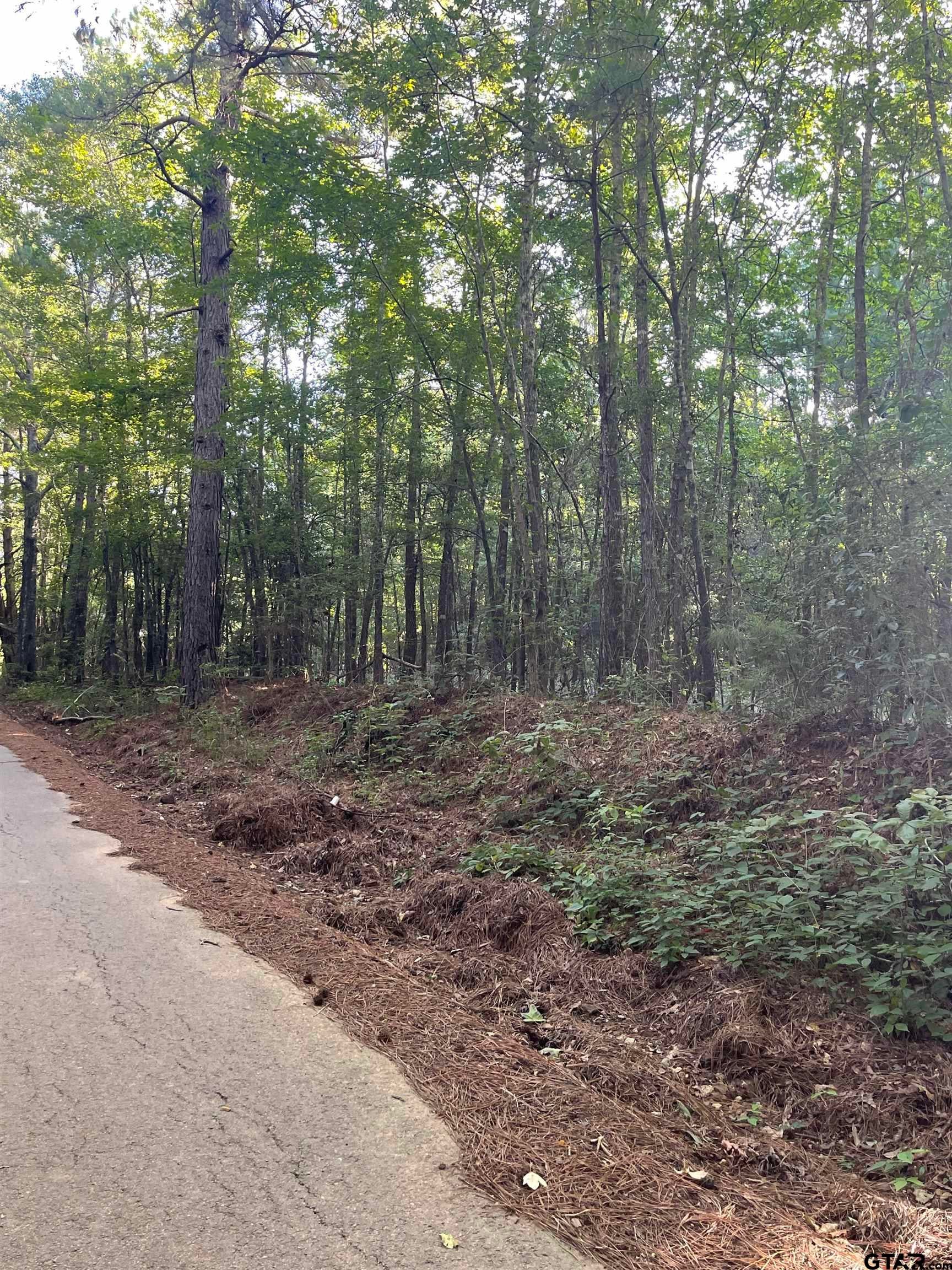 TBD County Road 2151 (Tract 5)