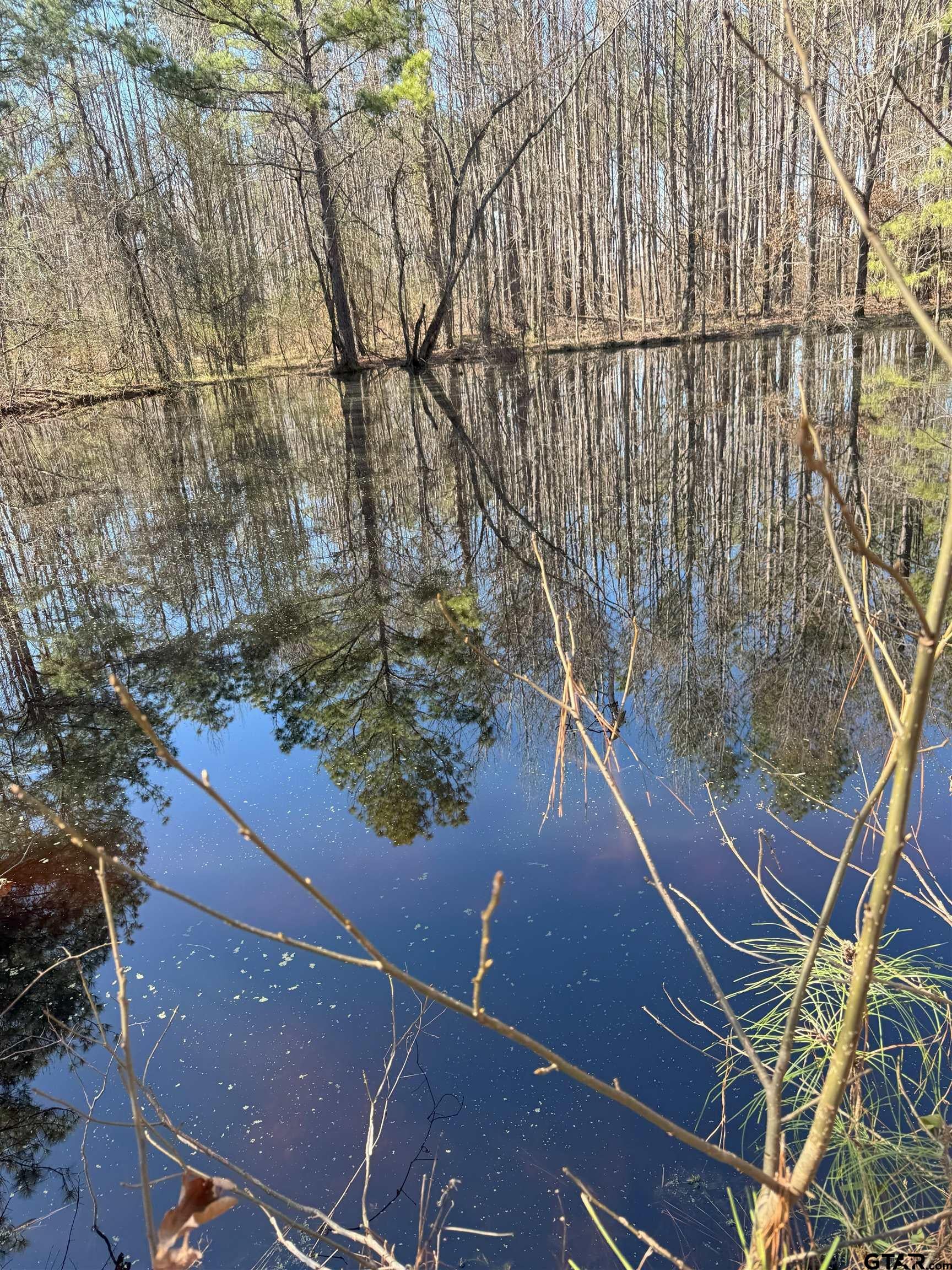 TBD Billy Ray Rd