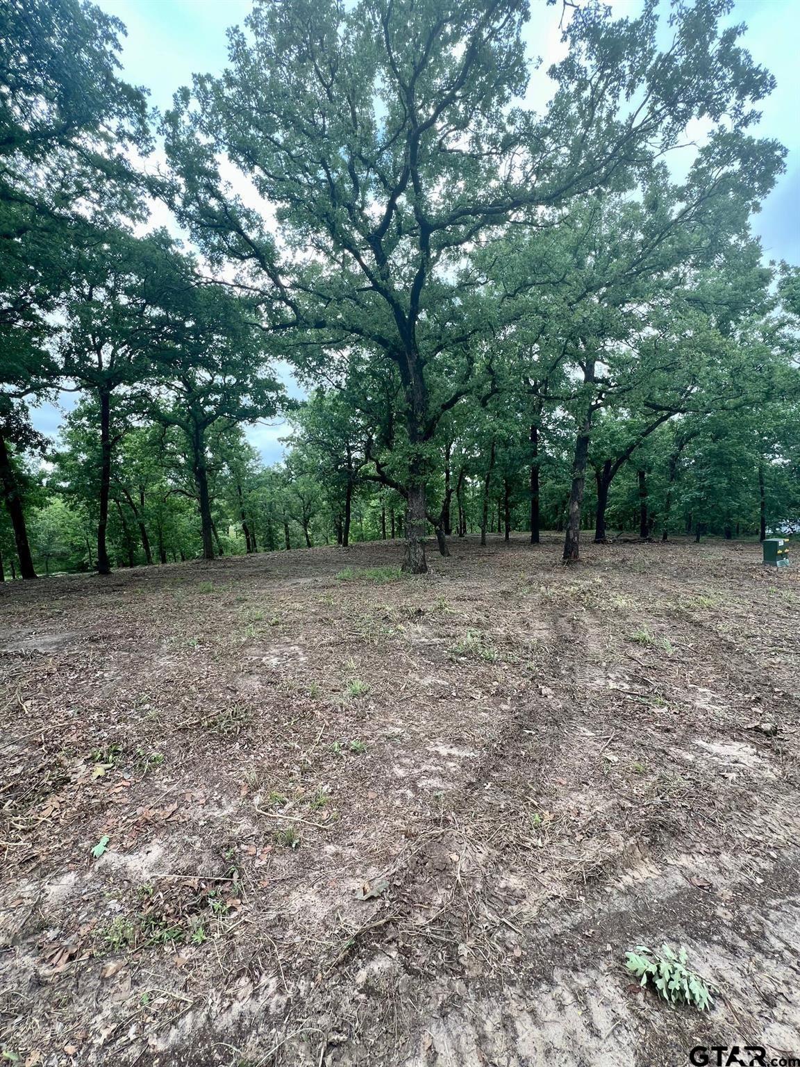 7721 County Road 4801