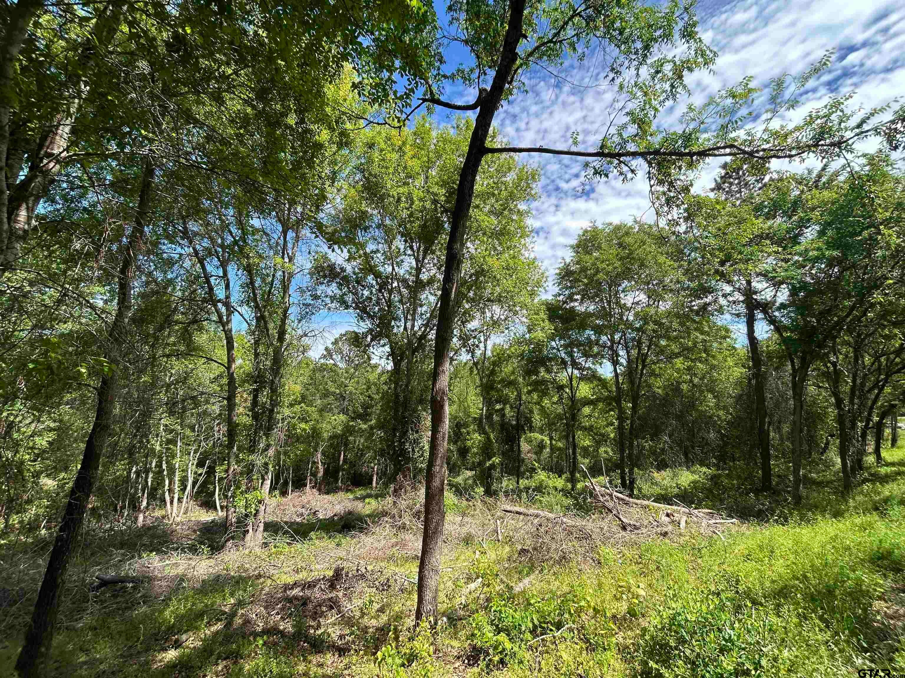 13904 County Road 1250
