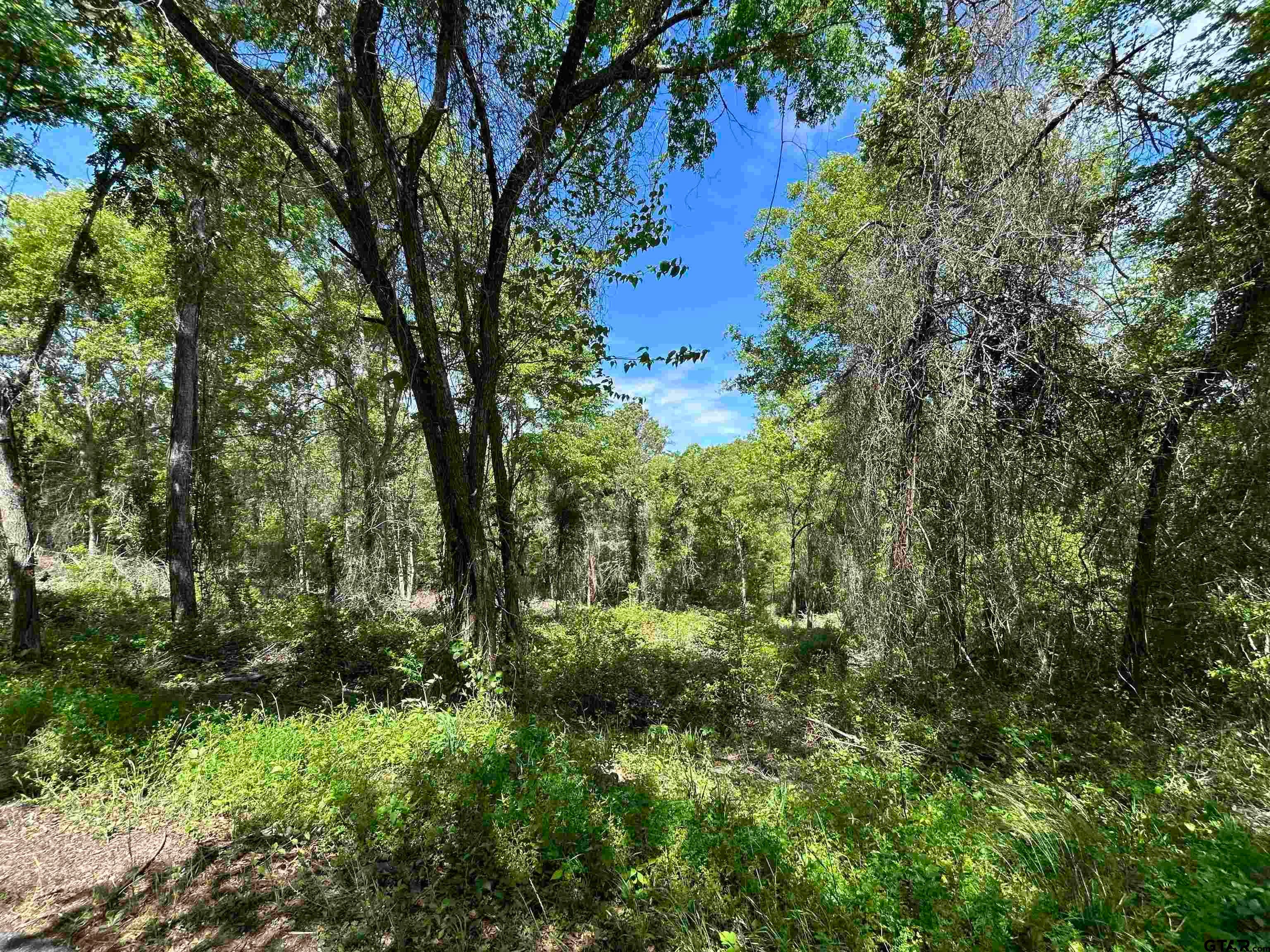 13904 County Road 1250