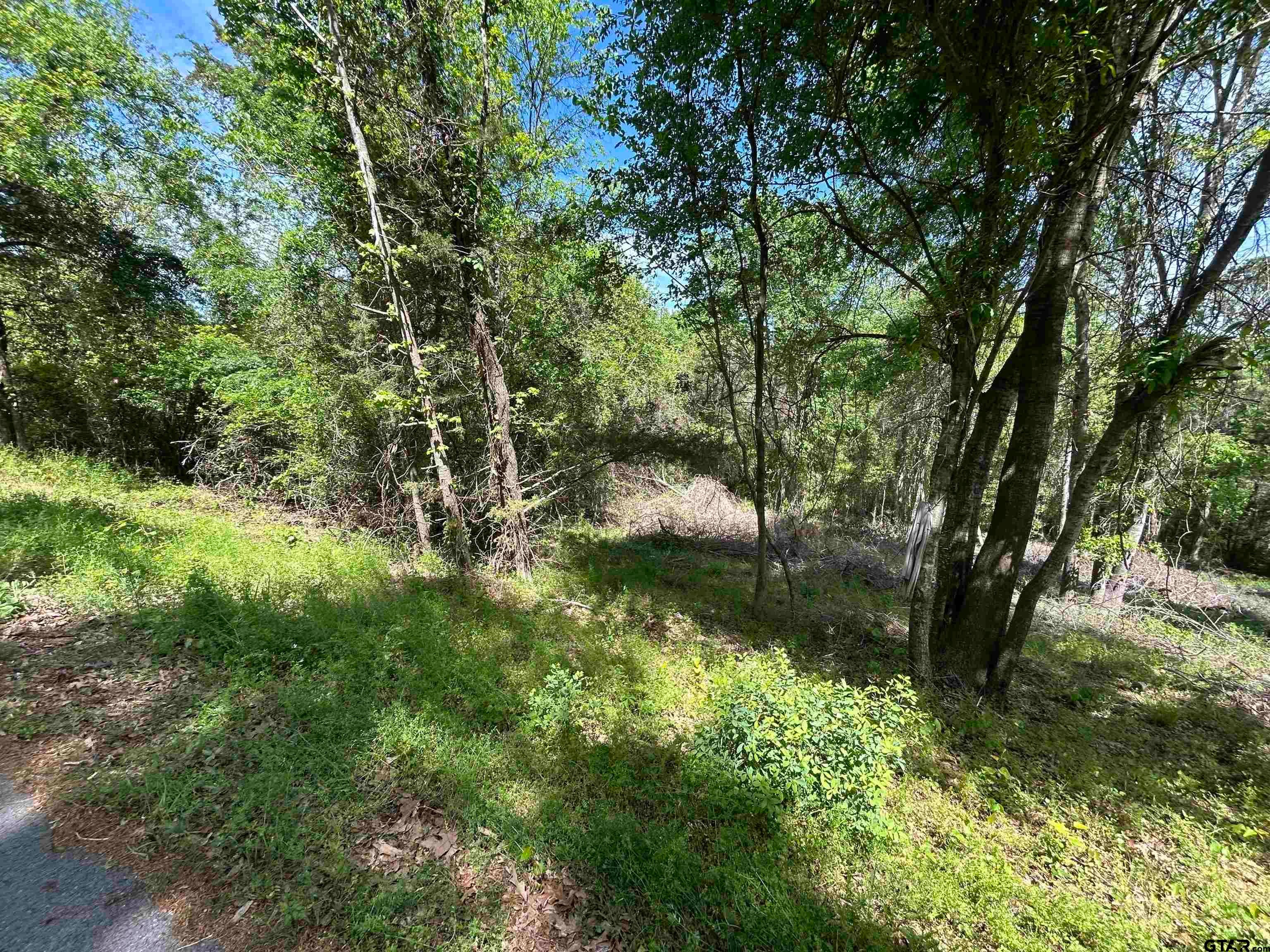 13904 County Road 1250