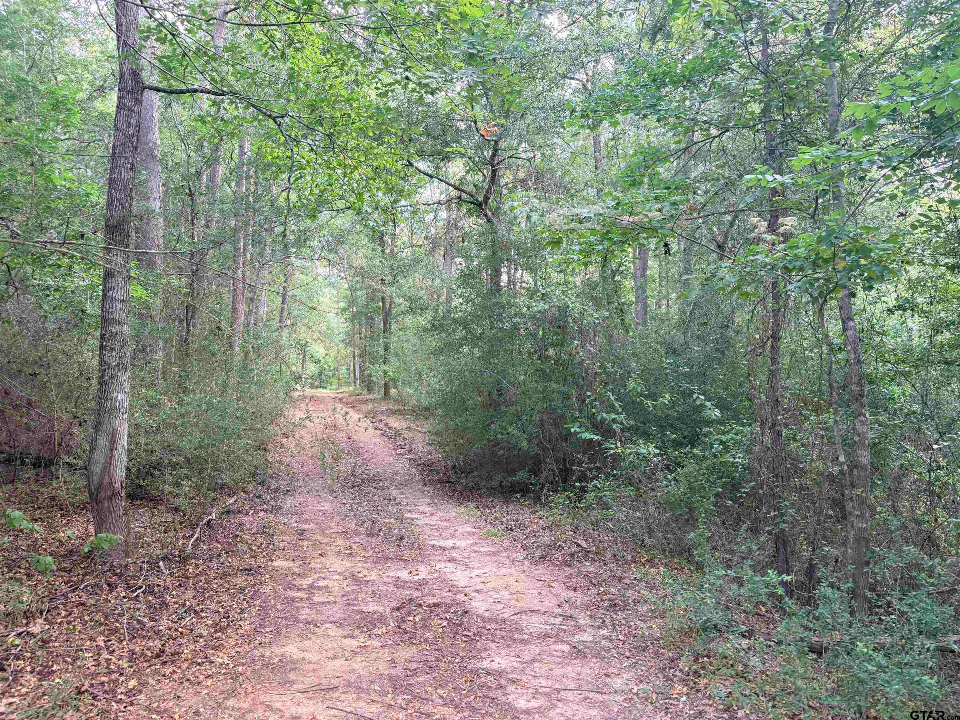 tbd COUNTY ROAD 2125