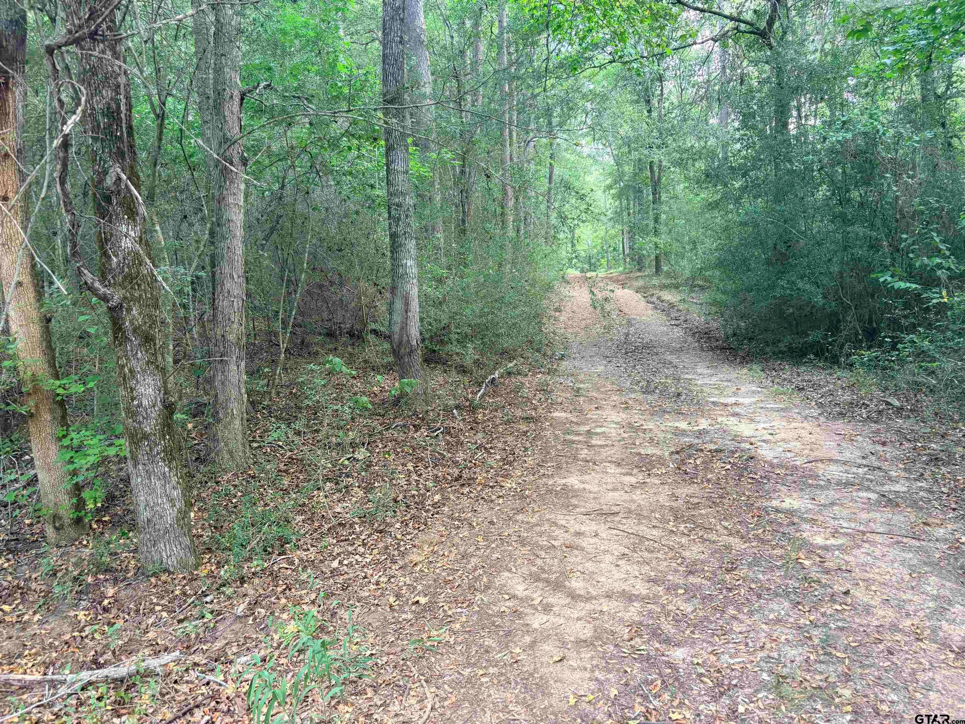 tbd COUNTY ROAD 2125