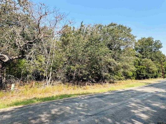 PEDERNALES E, ATHENS, TX 75752 - Image 9e9c90ff3da93dd4c5d6499b91ee7ee6/3321480270