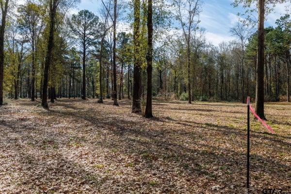 TBD (LOT 4) COUNTY ROAD 3545, JOAQUIN, TX 75954 - Image a045cd5eb98d7e7fcc67e62ab1c8cfae/516966486
