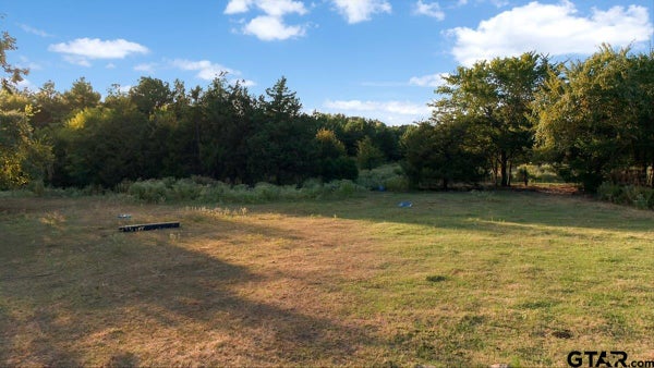 0 FM 314, BROWNSBORO, TX 75756 - Image a089ab2c6dd67bbc5d61fb5cfdda1462/3947973503