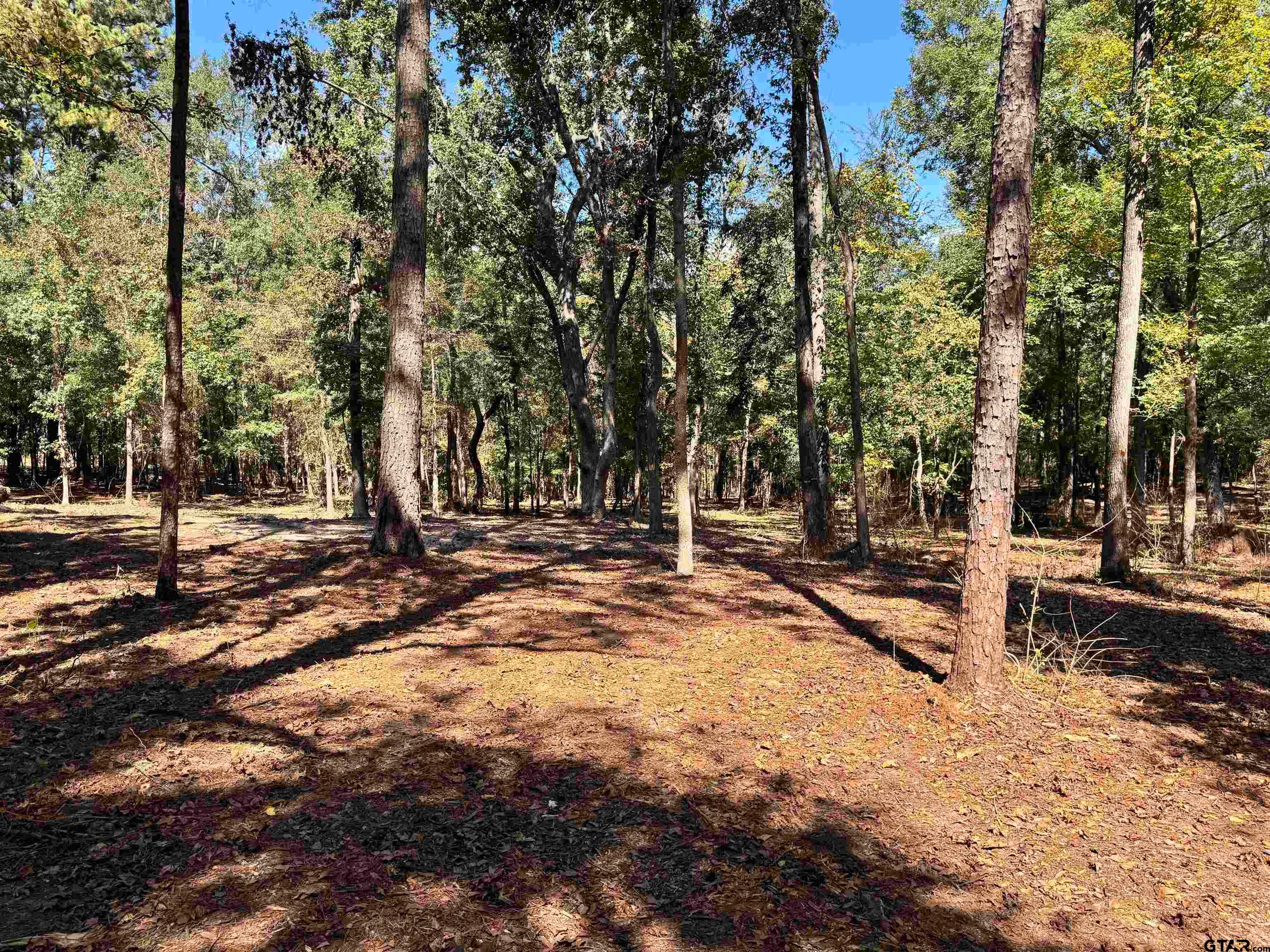 TBD VZ COUNTY ROAD 4823