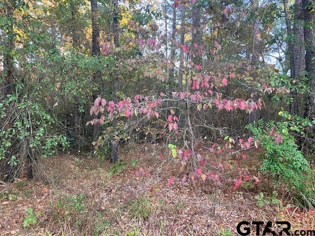 1657 Pineview DR