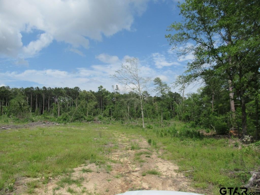 2288 Hwy 175