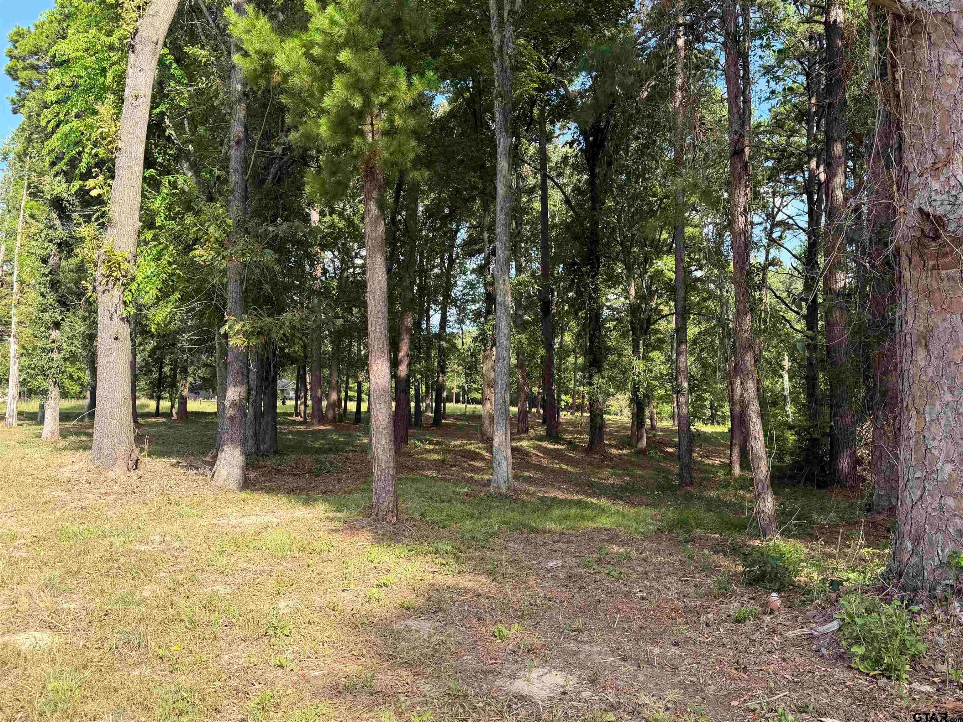 TBD Wilson Rd. (Lot 43)