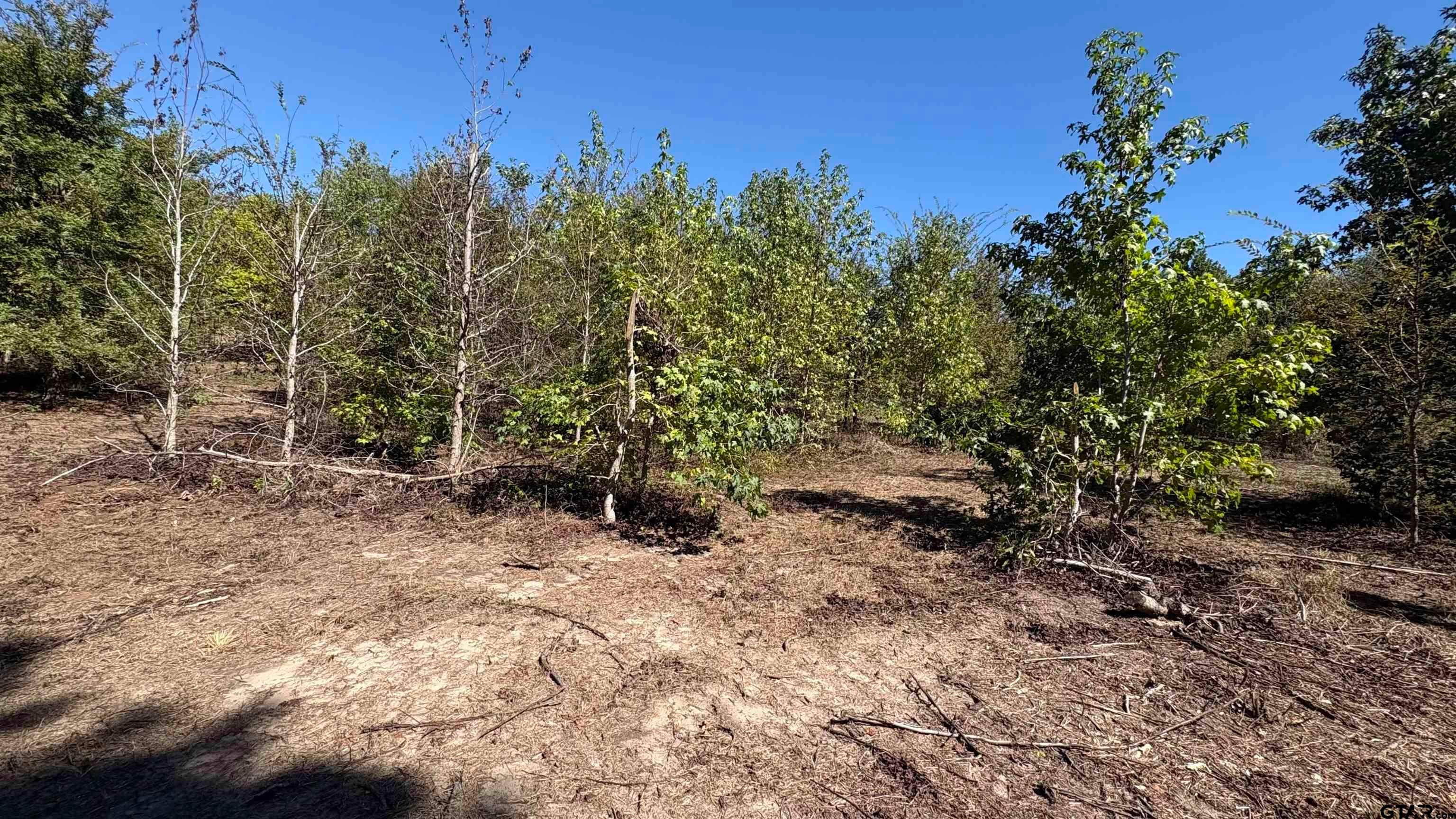 920 County Road 1226