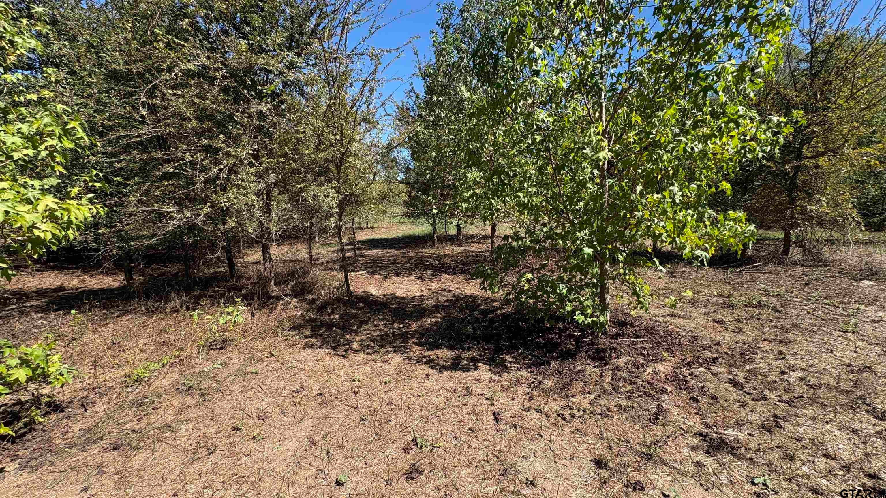 920 County Road 1226