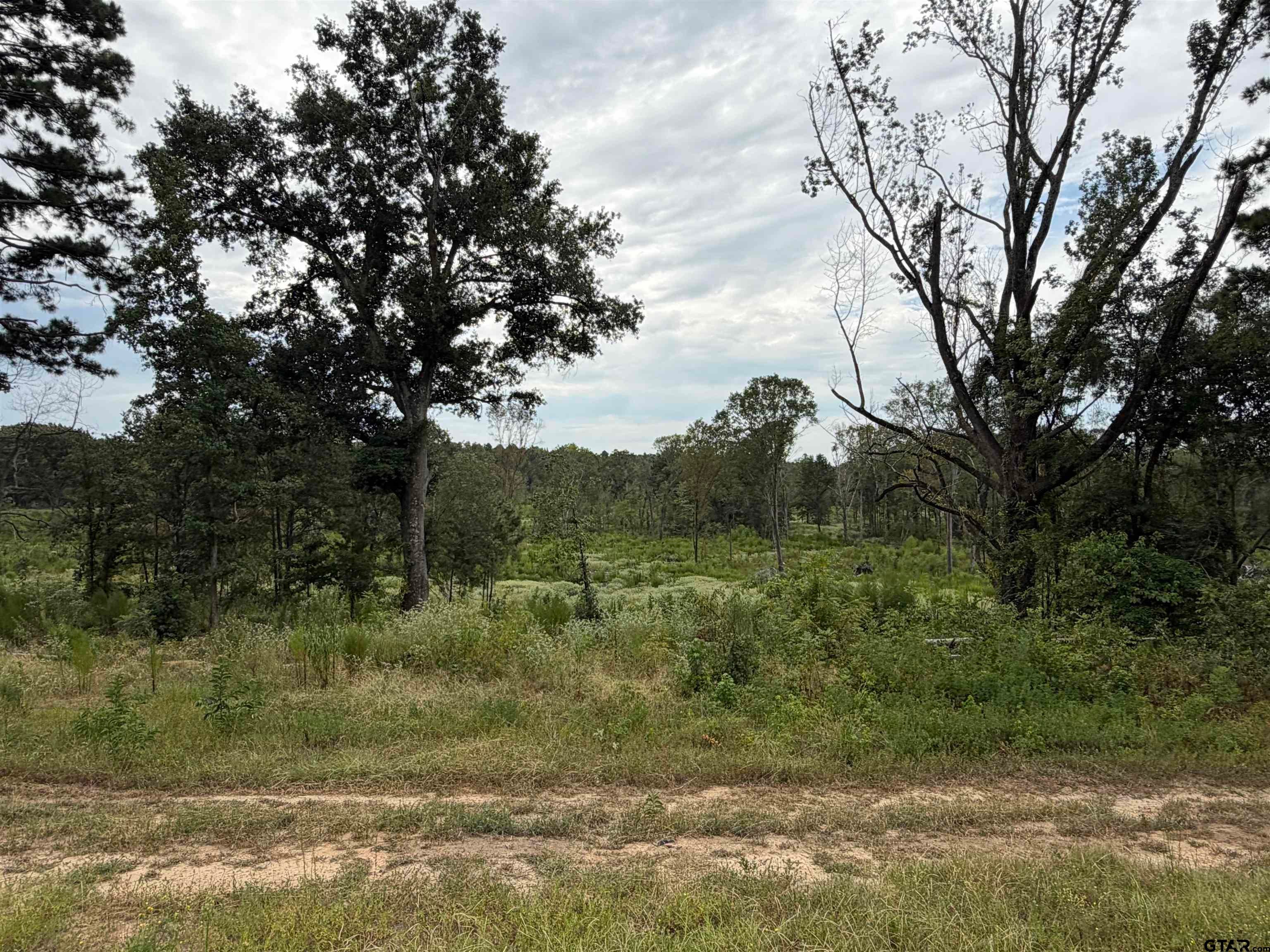 21016 HWY 31