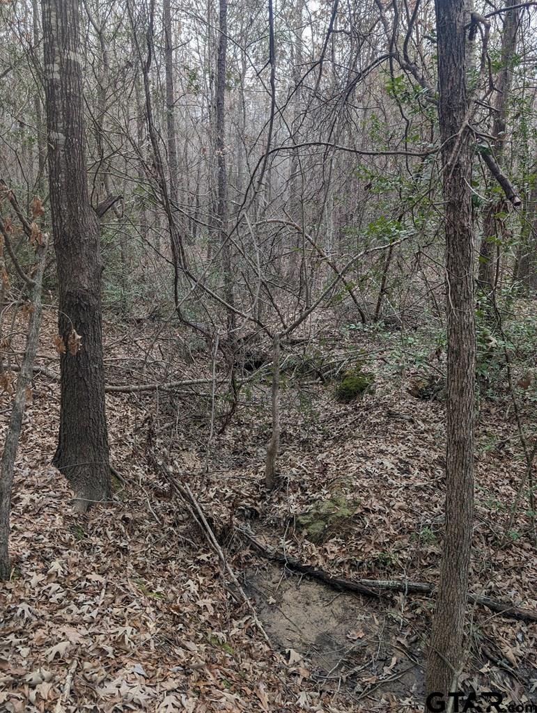 0 County Road 3460