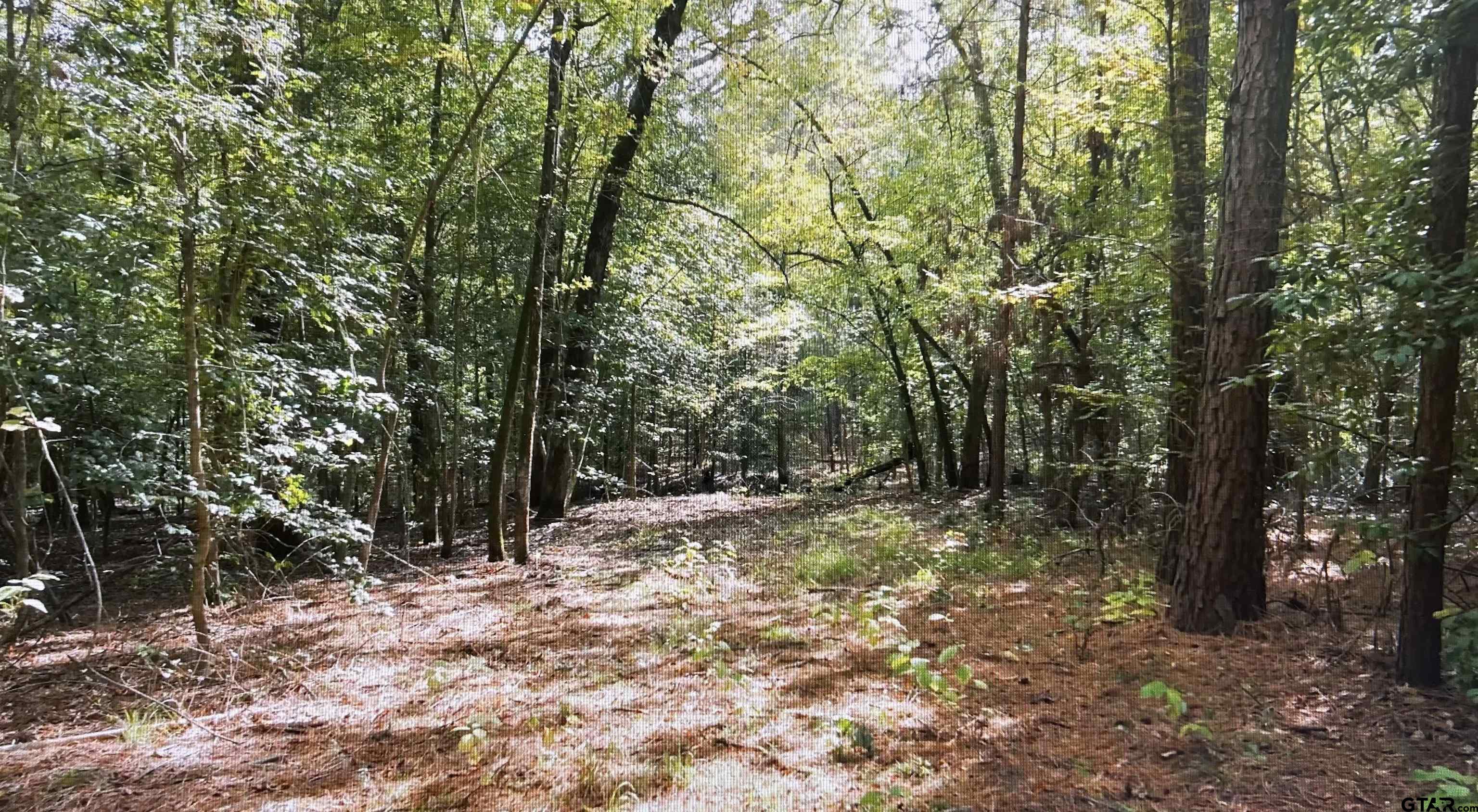 TBD Bedingfield Rd