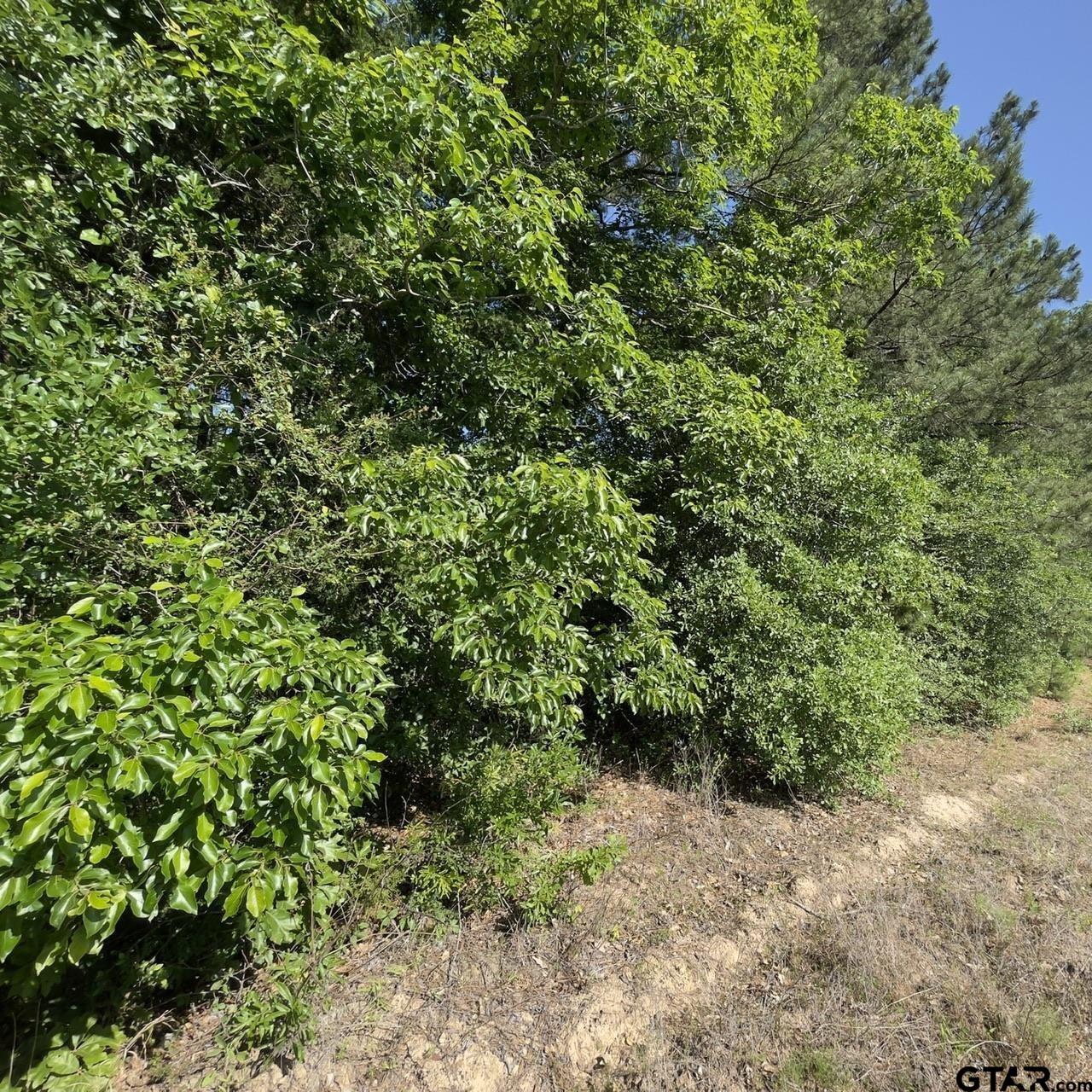 000 County Road 2138