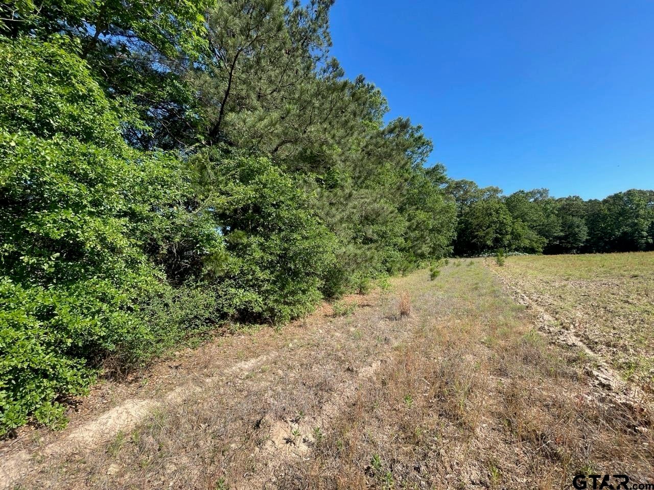 000 County Road 2138