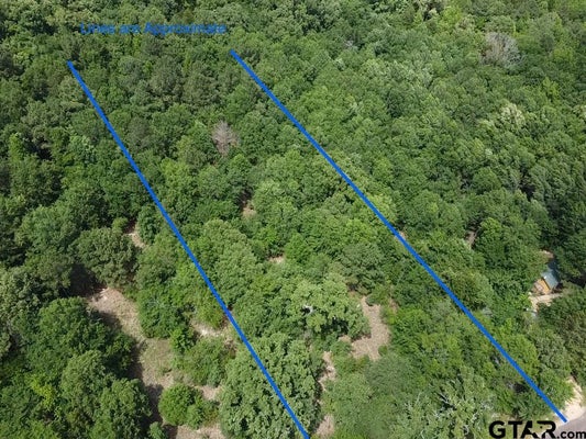 ADDRESS PRIVATE, QUITMAN, TX 75783 - Image a8e25cf192cba8d365aa04cedaec8639/2556848187