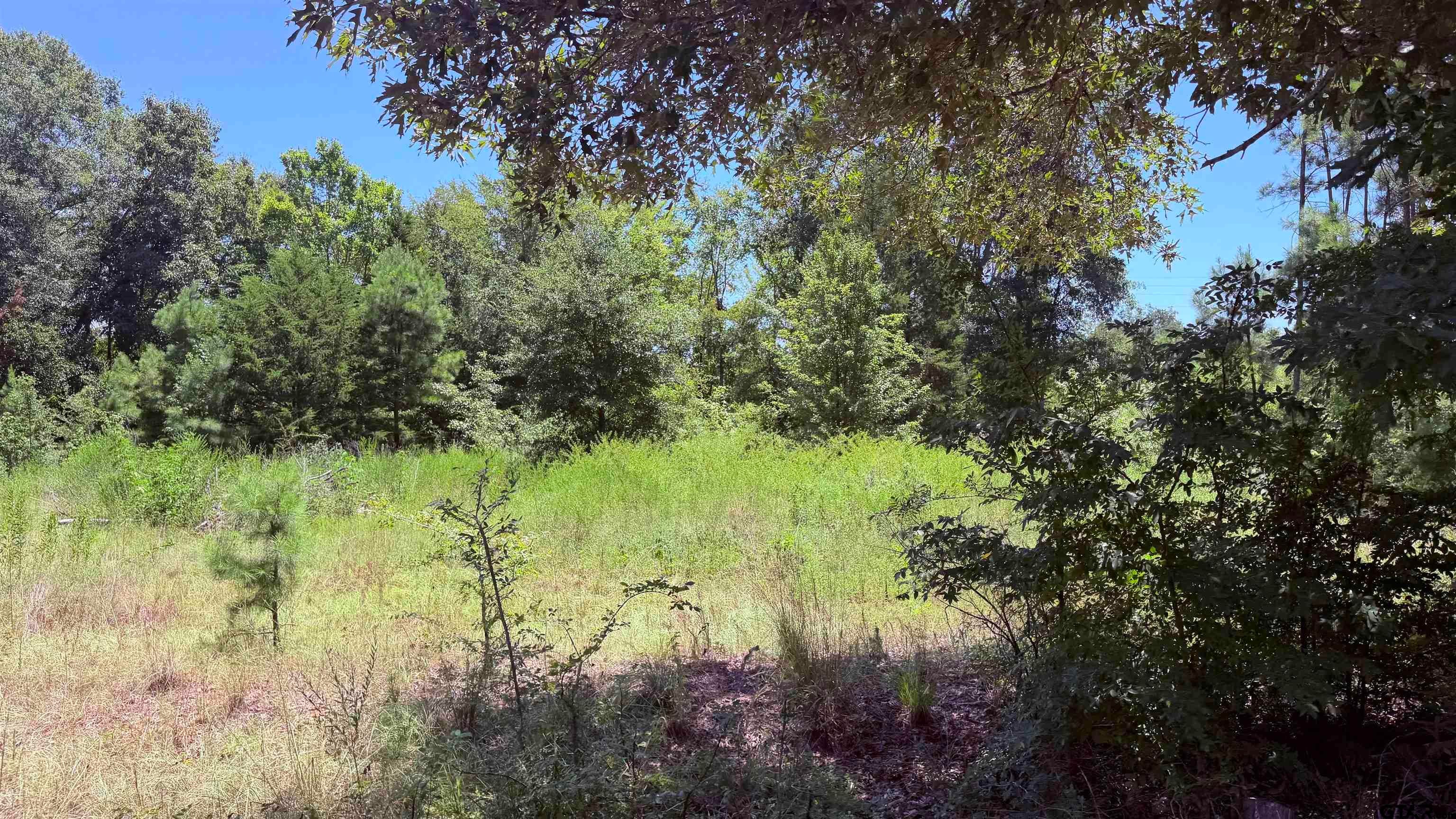 TBD COUNTY ROAD 372